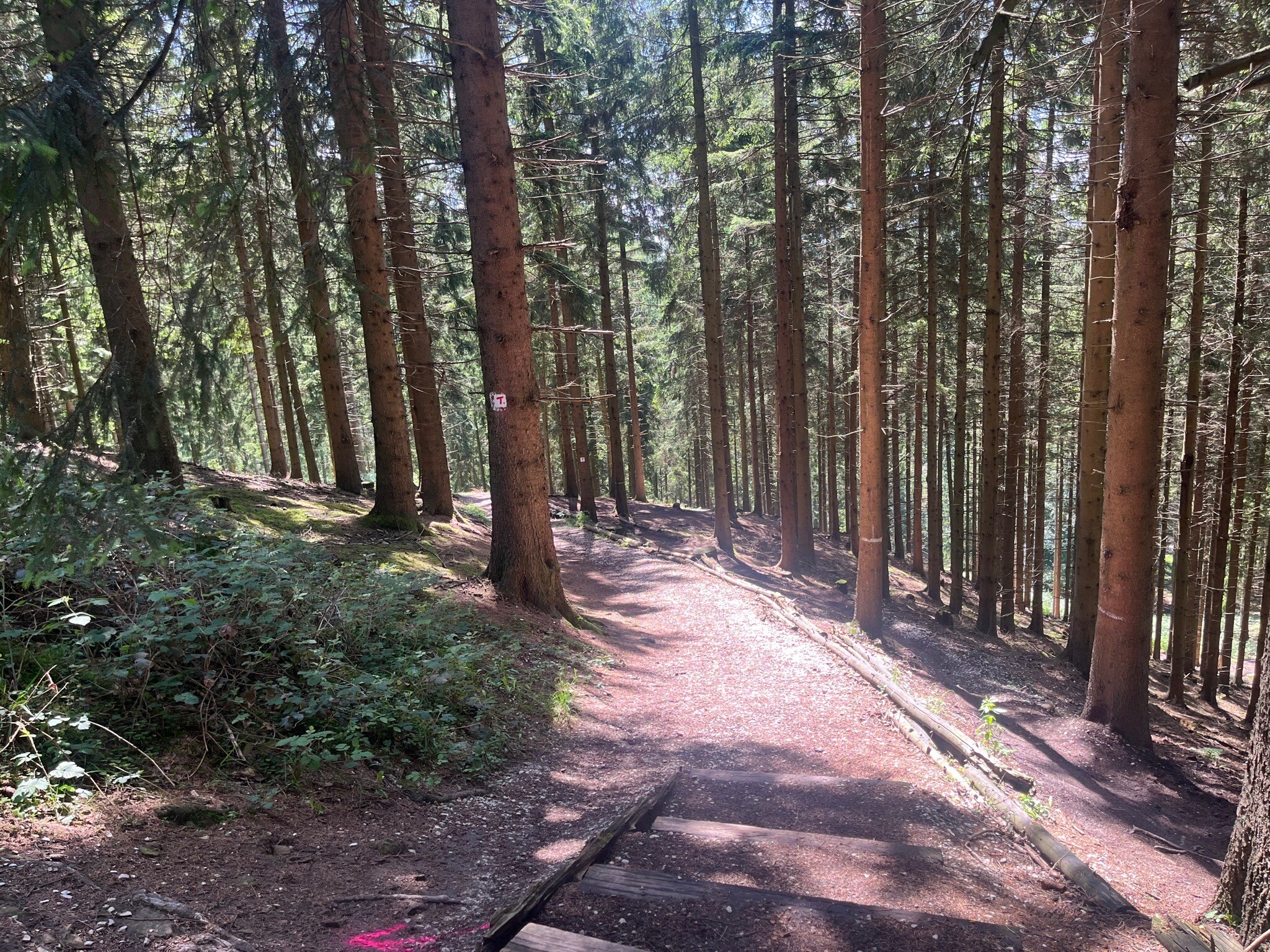TERRA.track "Von Park zu Park"