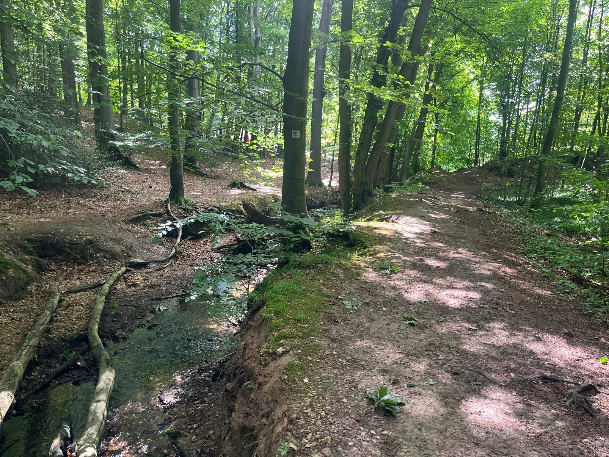 TERRA.track "Von Park zu Park"