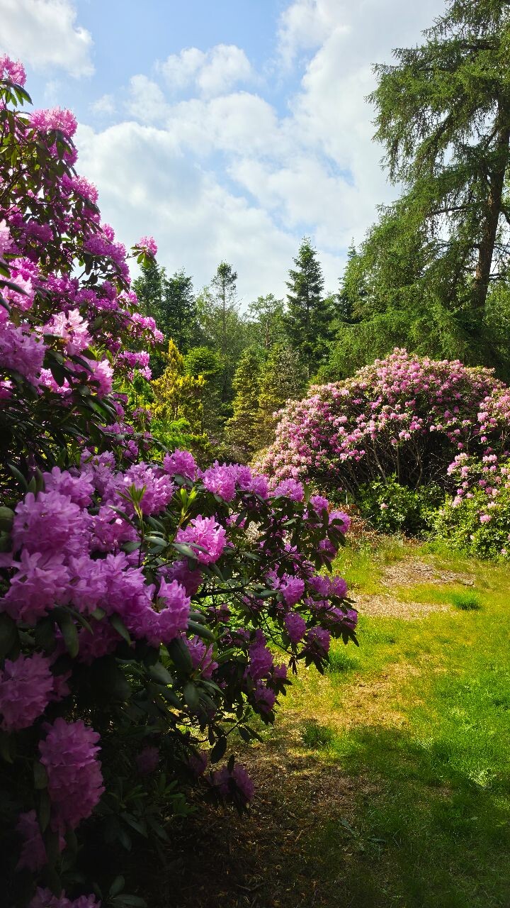 Evertsbos - prachtige wandeling