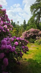 Wandelroute Evertsbos