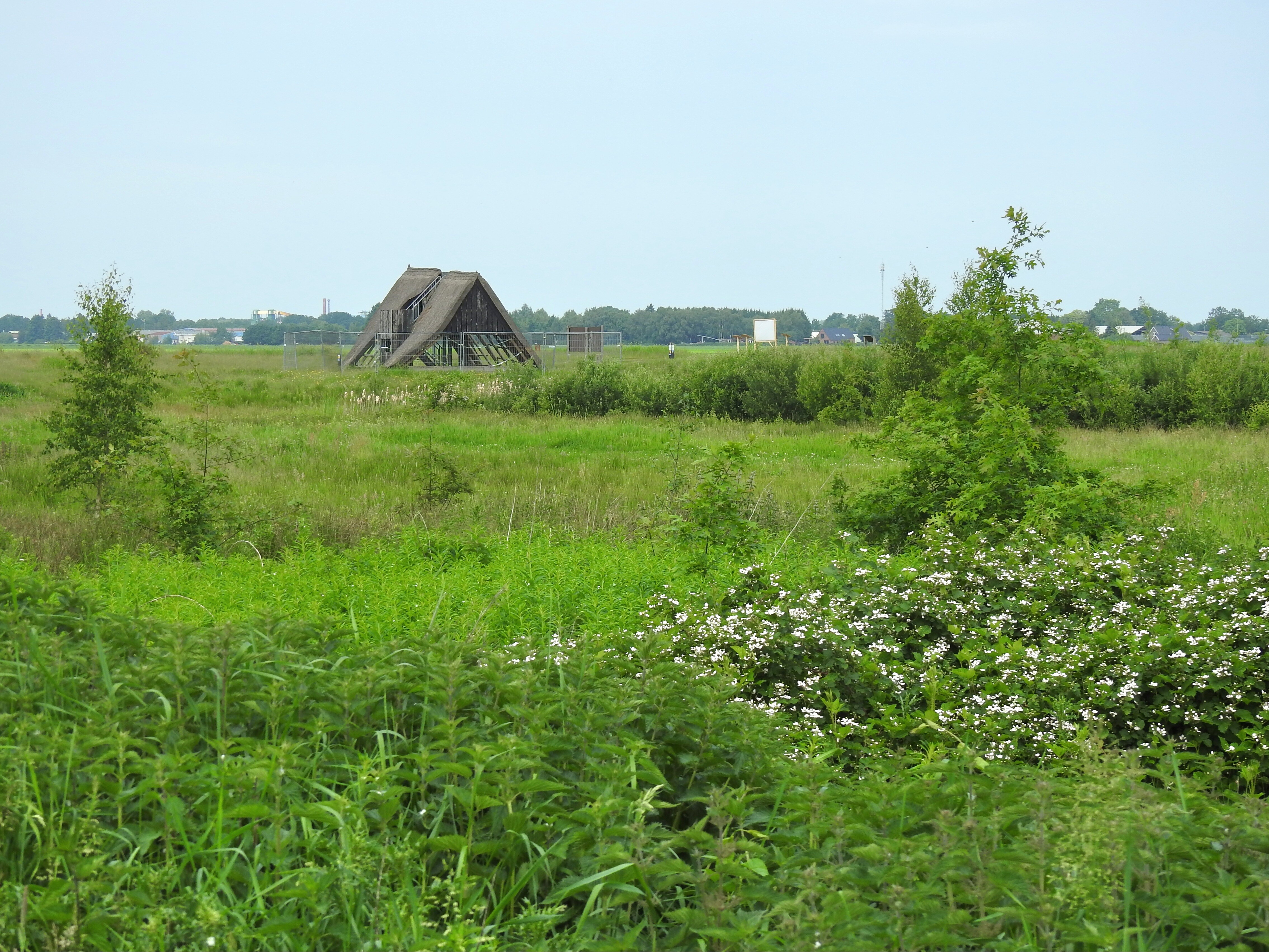 Puur natuur in het Bargerveen bij Zwartemeer