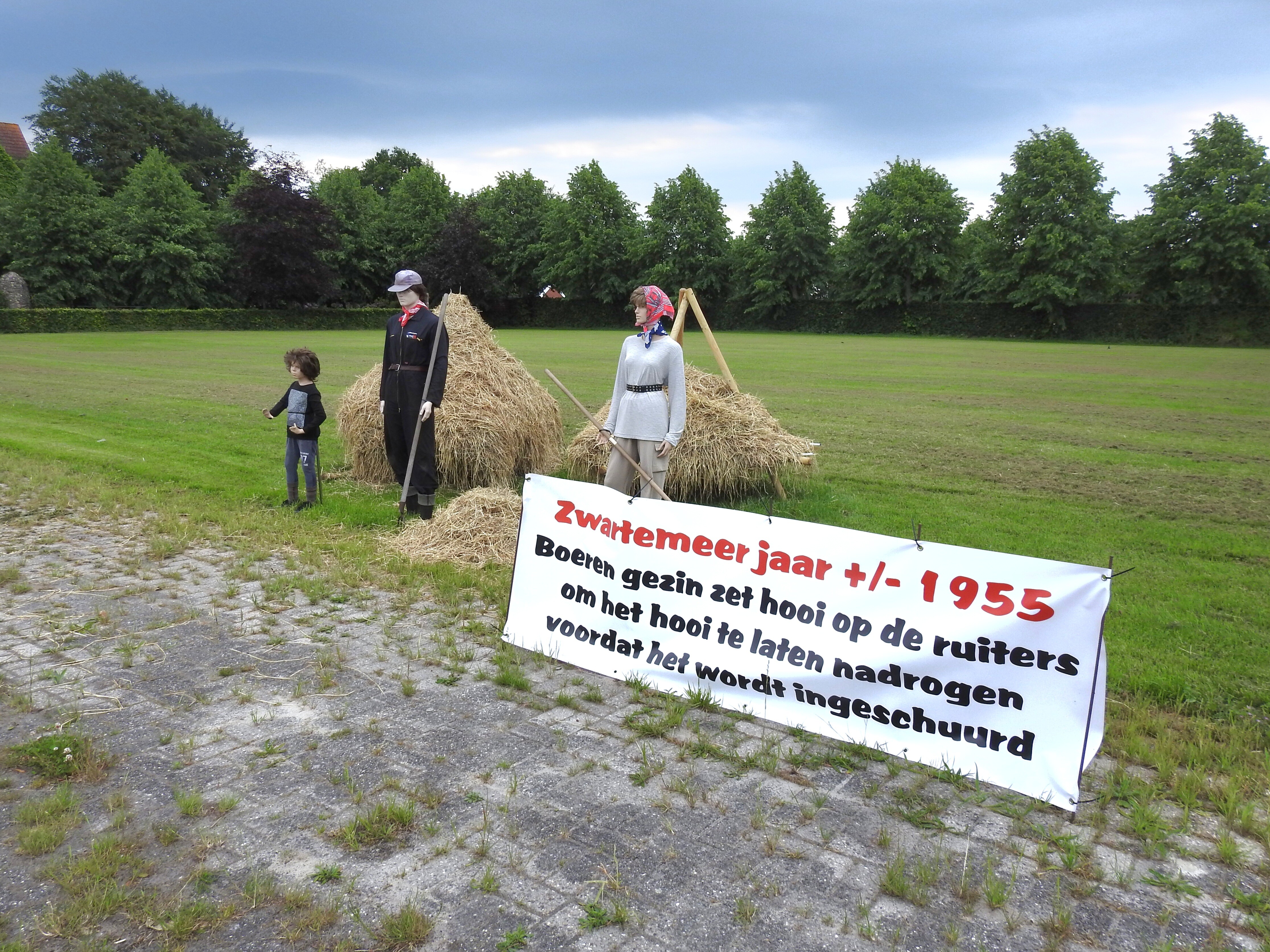 Puur natuur in het Bargerveen bij Zwartemeer