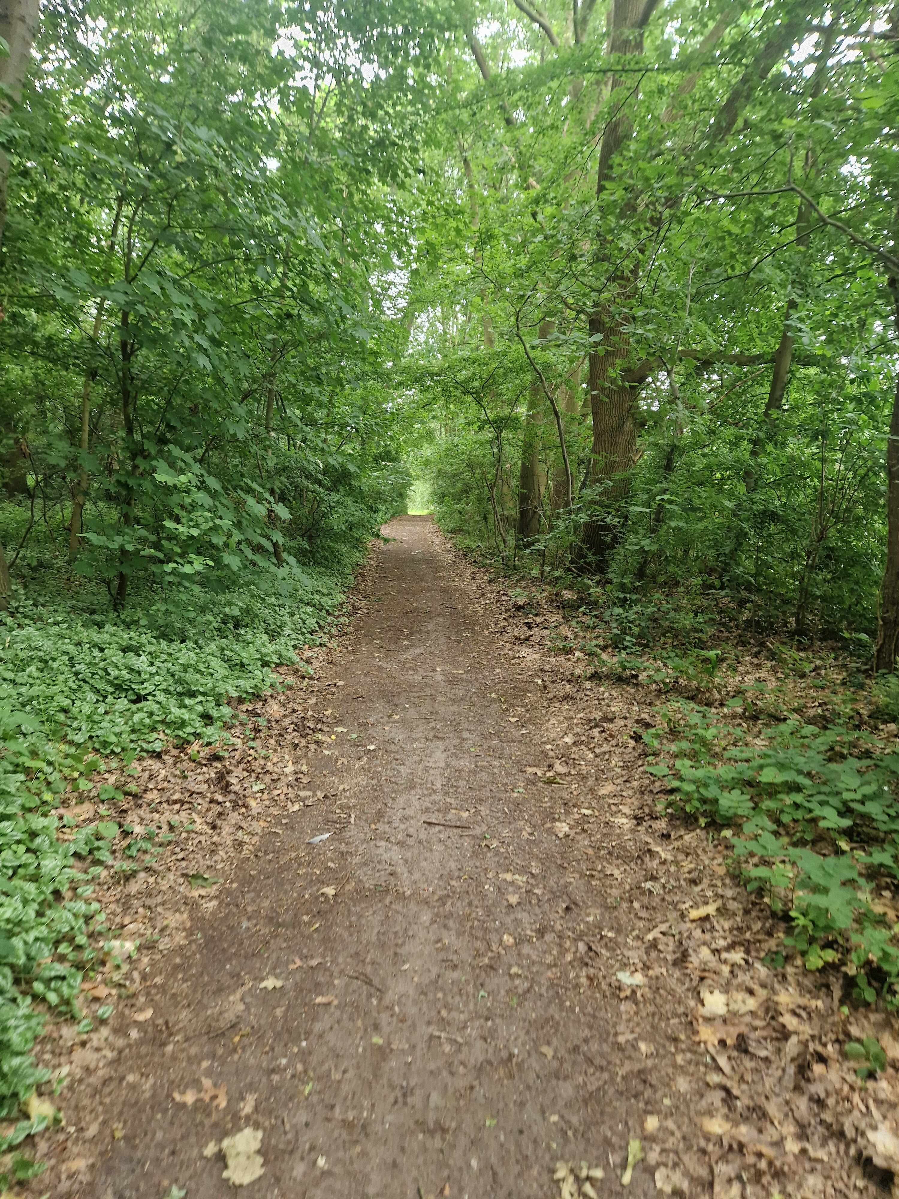 Betburg Wandeltocht