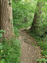 Betburg Wandeltocht