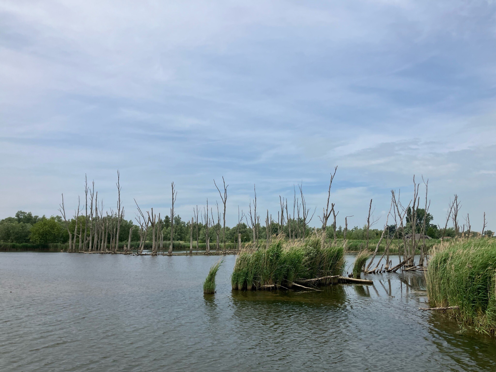 Rondwandeling (Jantjesplaat - Hogehof - Deeneplaat) · Biesboschpad etappe 14