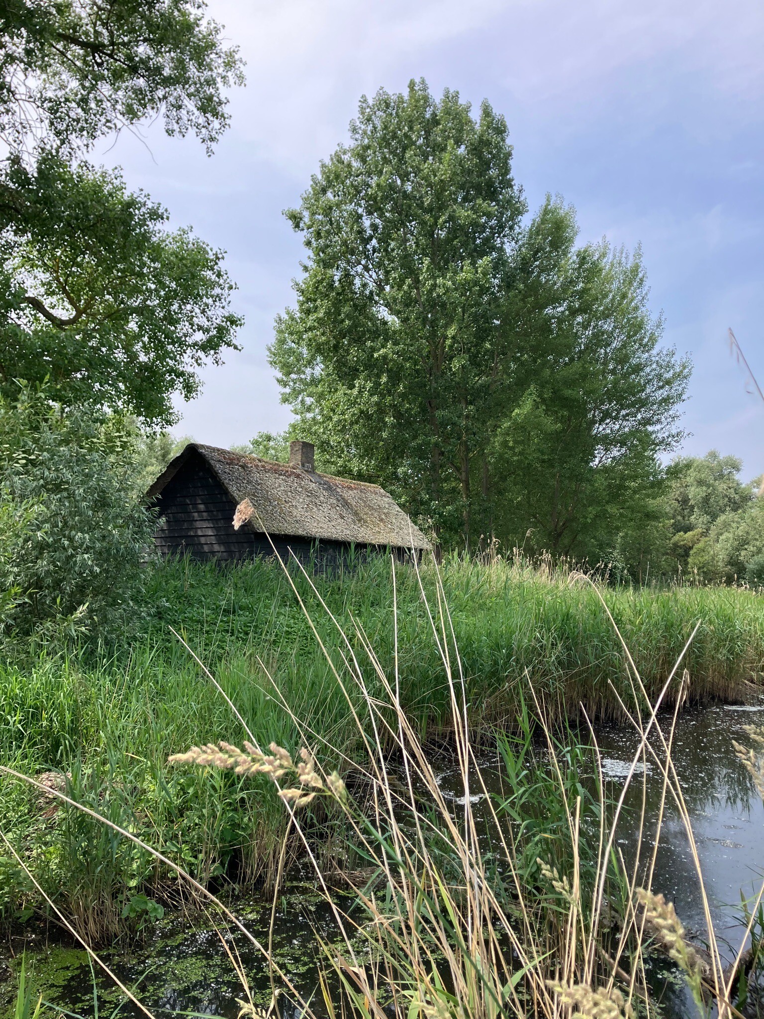 Rondwandeling (Jantjesplaat - Hogehof - Deeneplaat) · Biesboschpad etappe 14