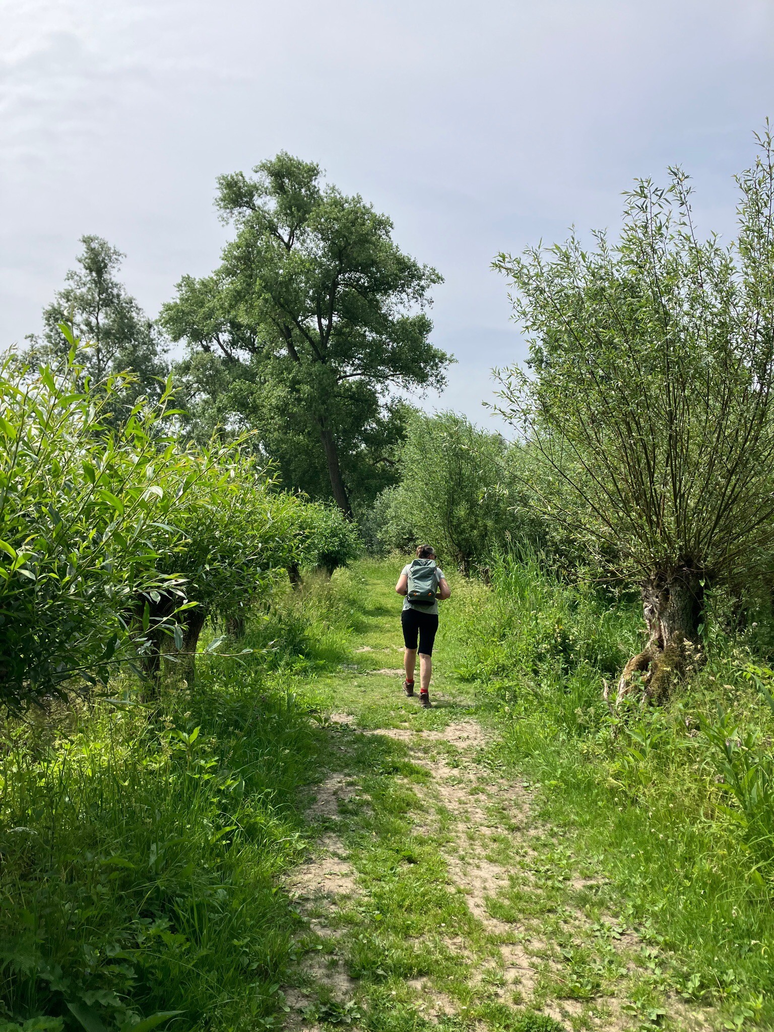 Rondwandeling (Jantjesplaat - Hogehof - Deeneplaat) · Biesboschpad etappe 14