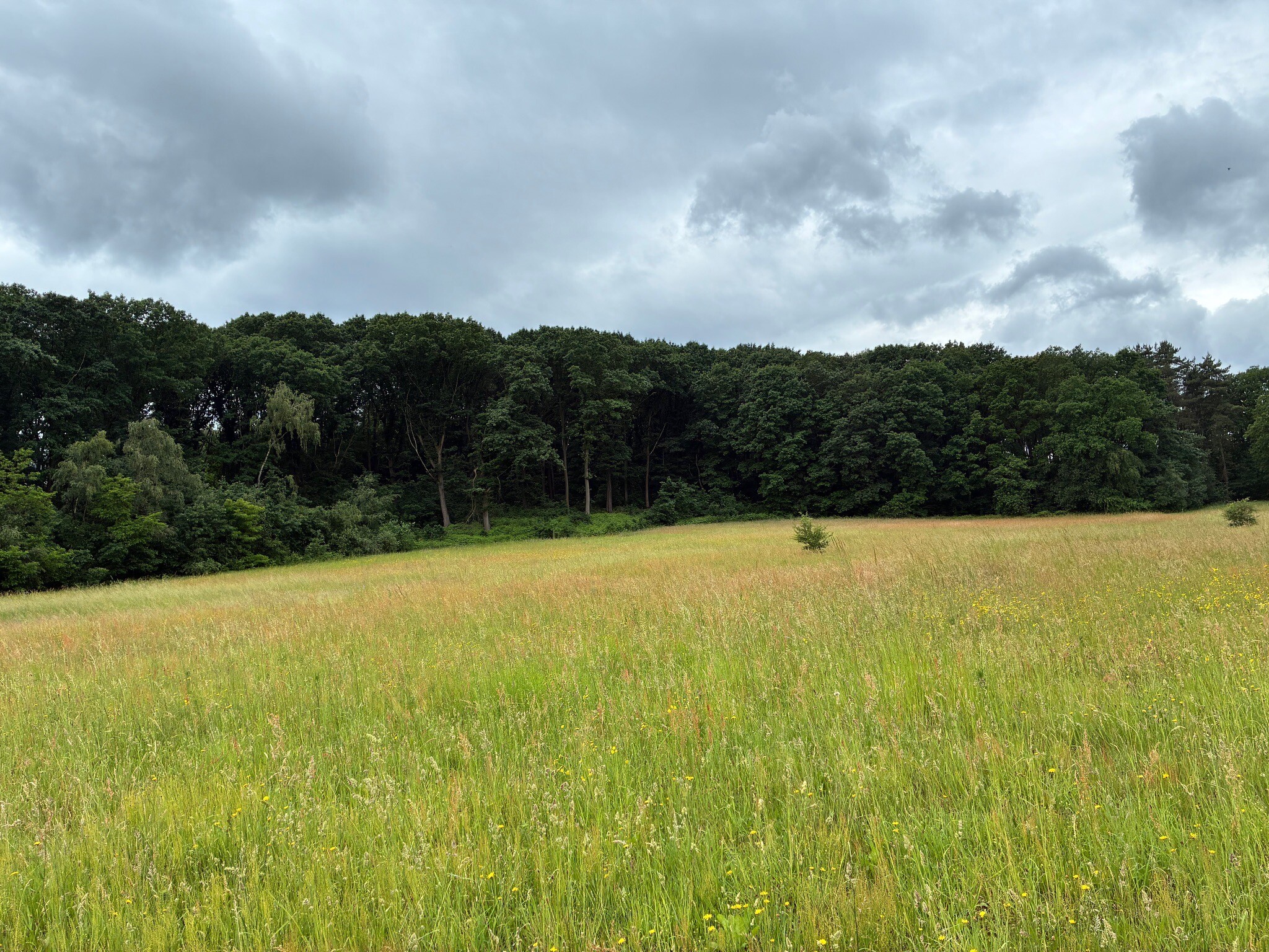 Vallei van de Drie Bekenwandeling (rood)