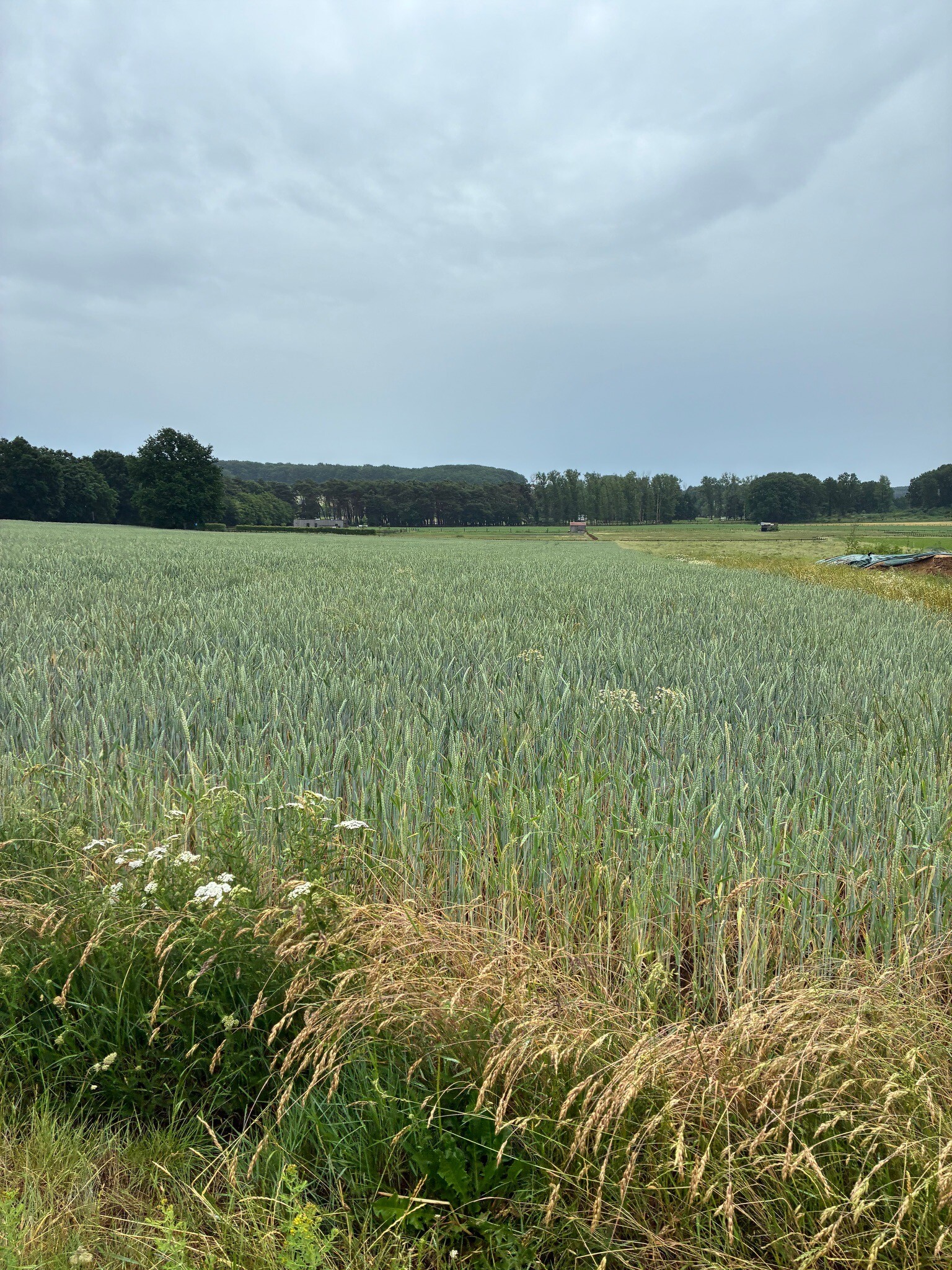 Kelbergenwandeling