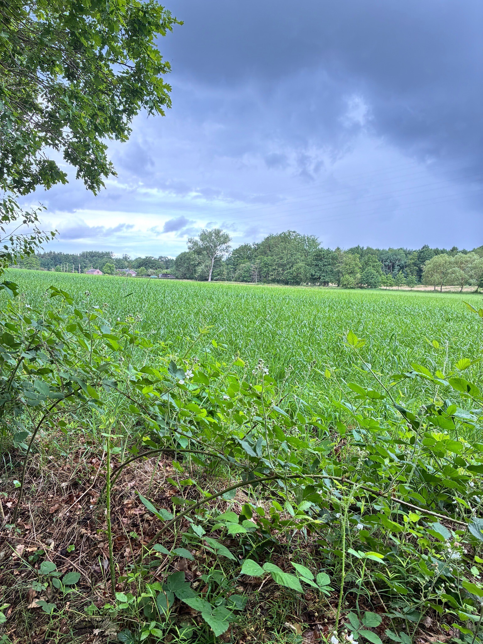 Kelbergenwandeling