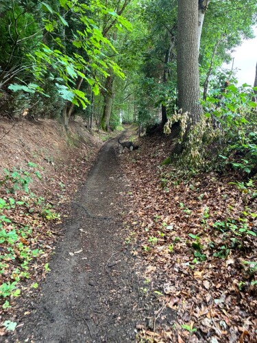 wandelen in vleugt
