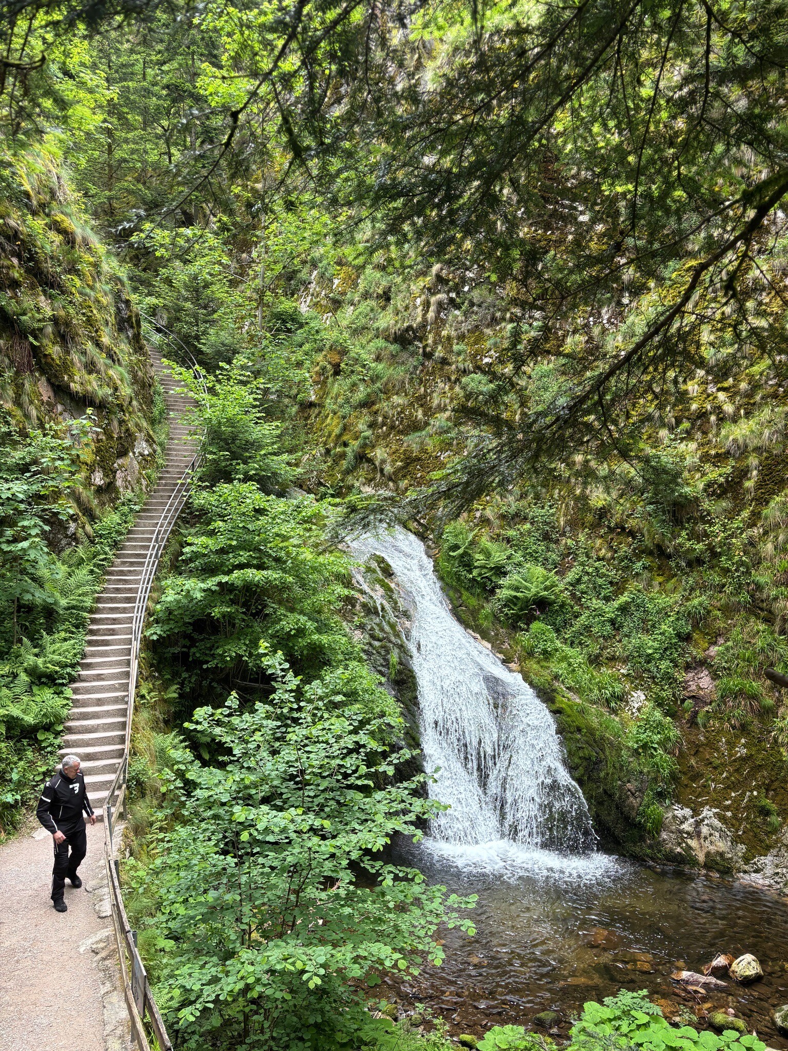 Nationalpark Schwarzwald