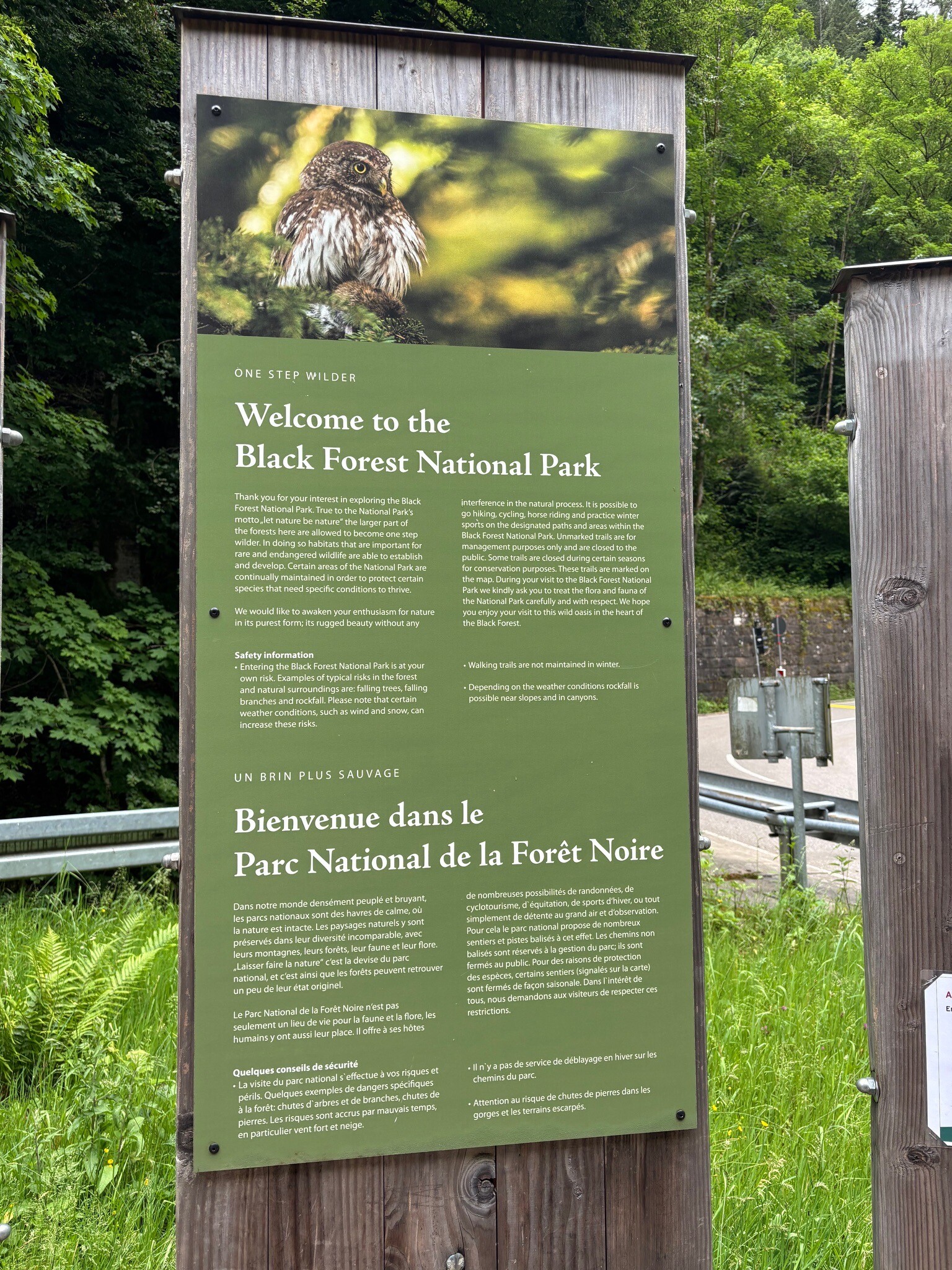 Nationalpark Schwarzwald
