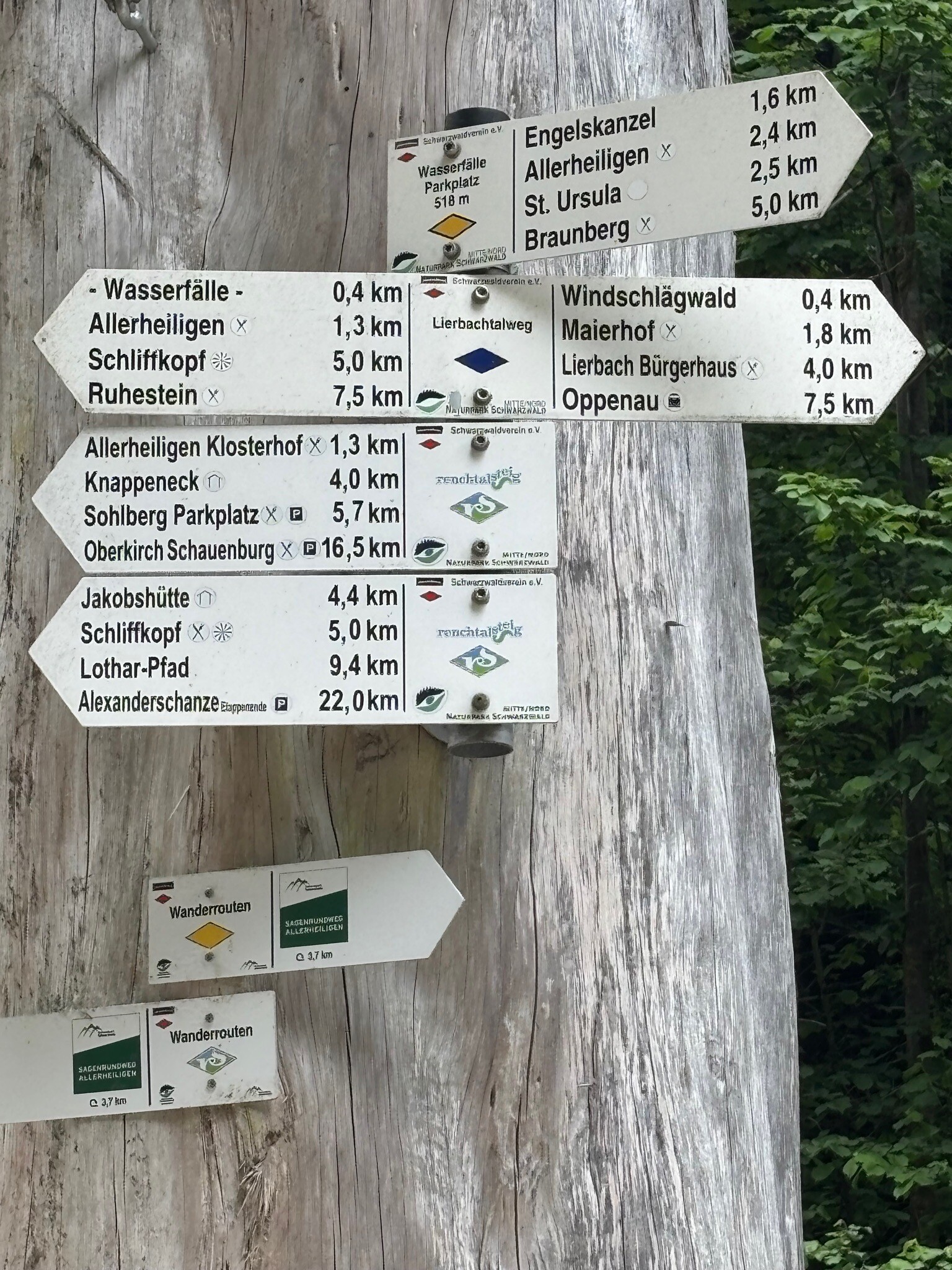 Nationalpark Schwarzwald