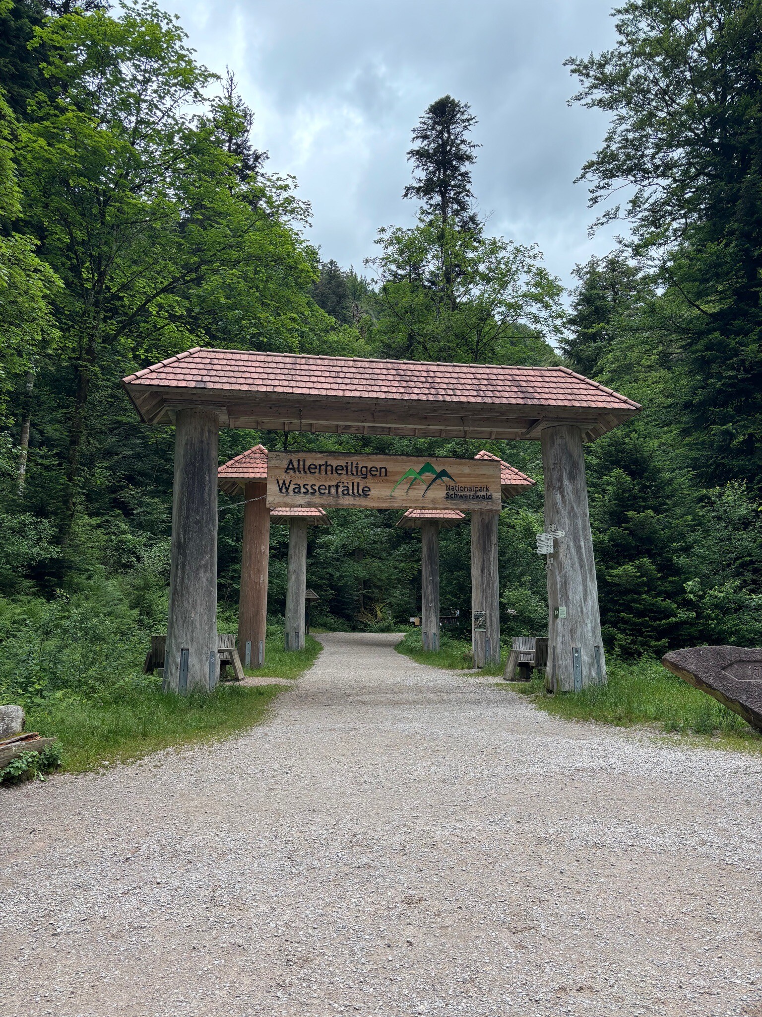 Nationalpark Schwarzwald