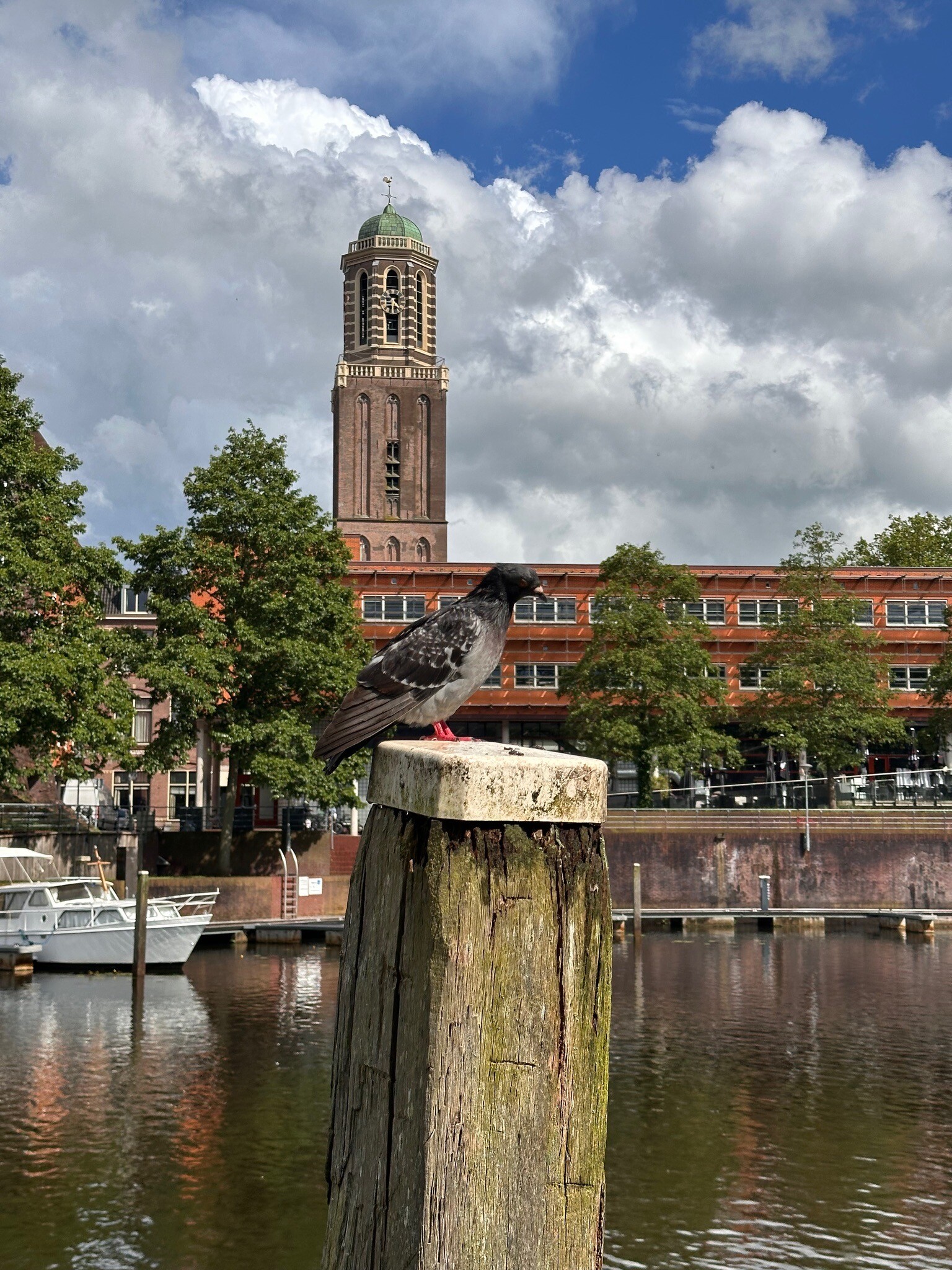 Tussen de buien door….
