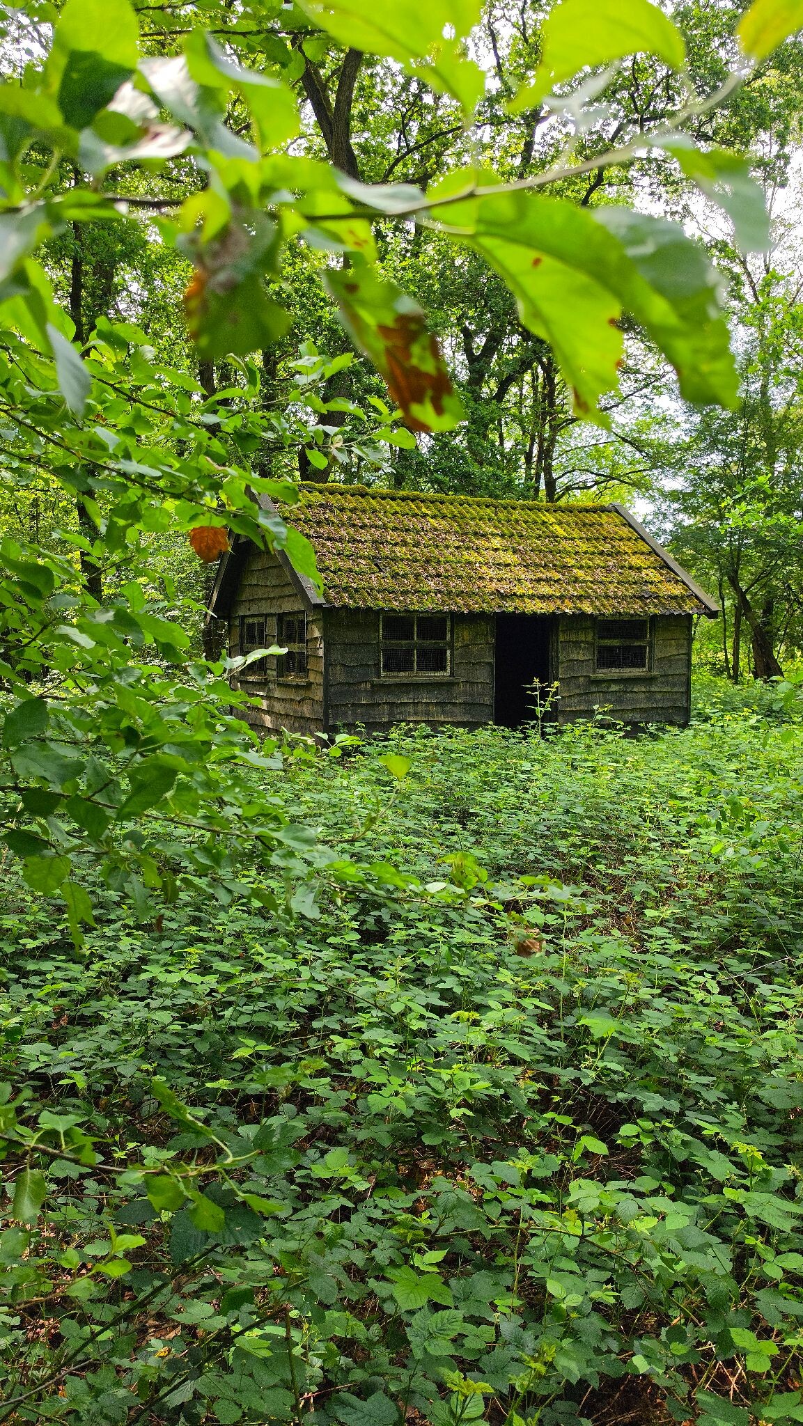 Prachtige wandeling door het Heuvingerzand