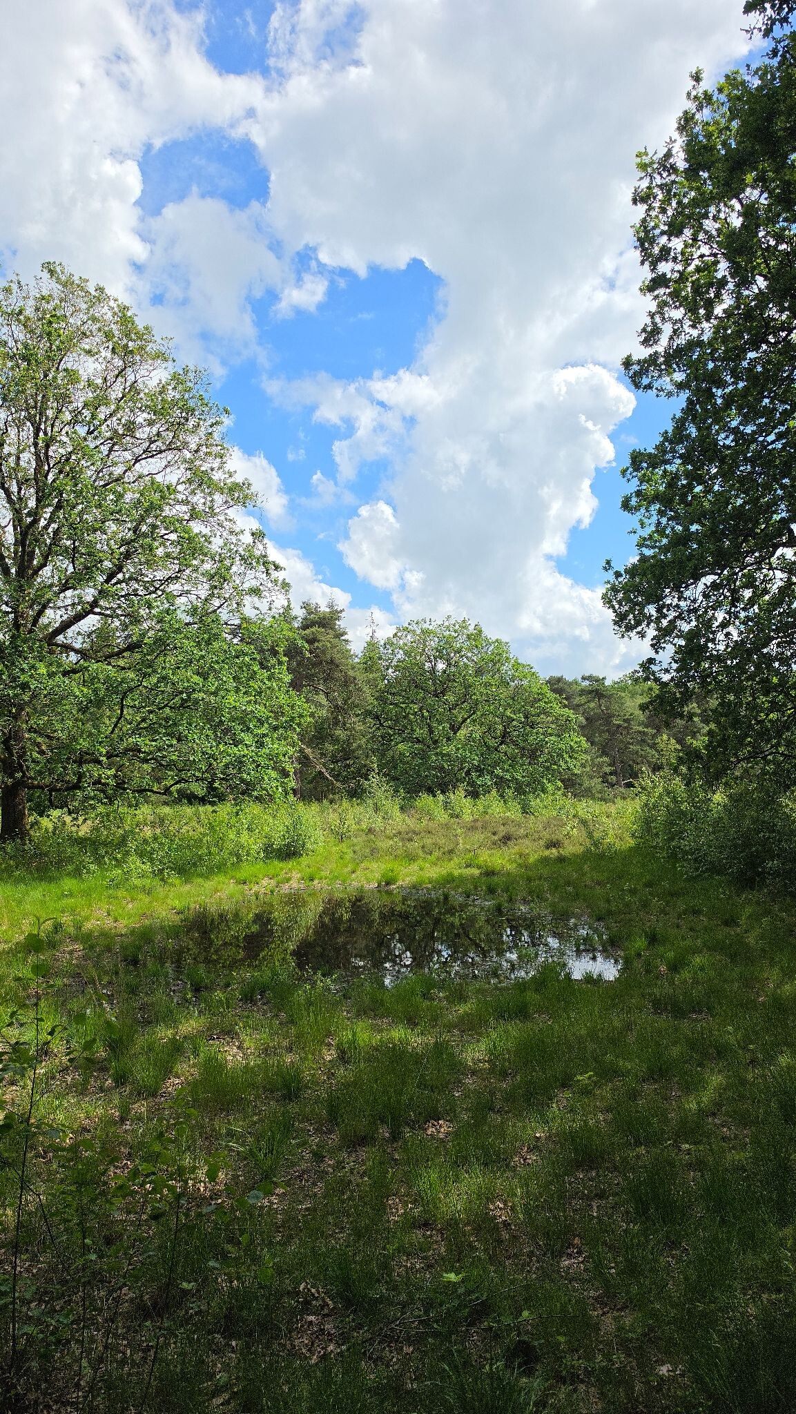 Prachtige wandeling door het Heuvingerzand