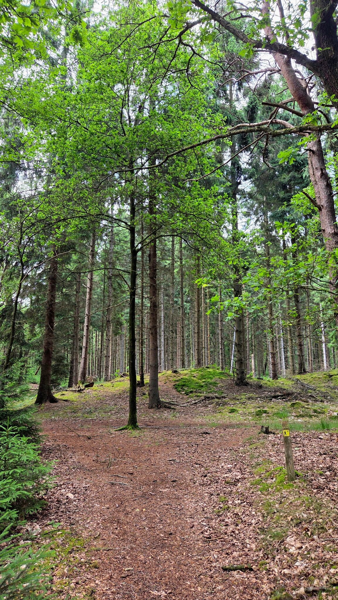Wandelroute Wijde Blik