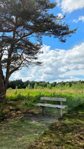 Wandelroute Wijde Blik