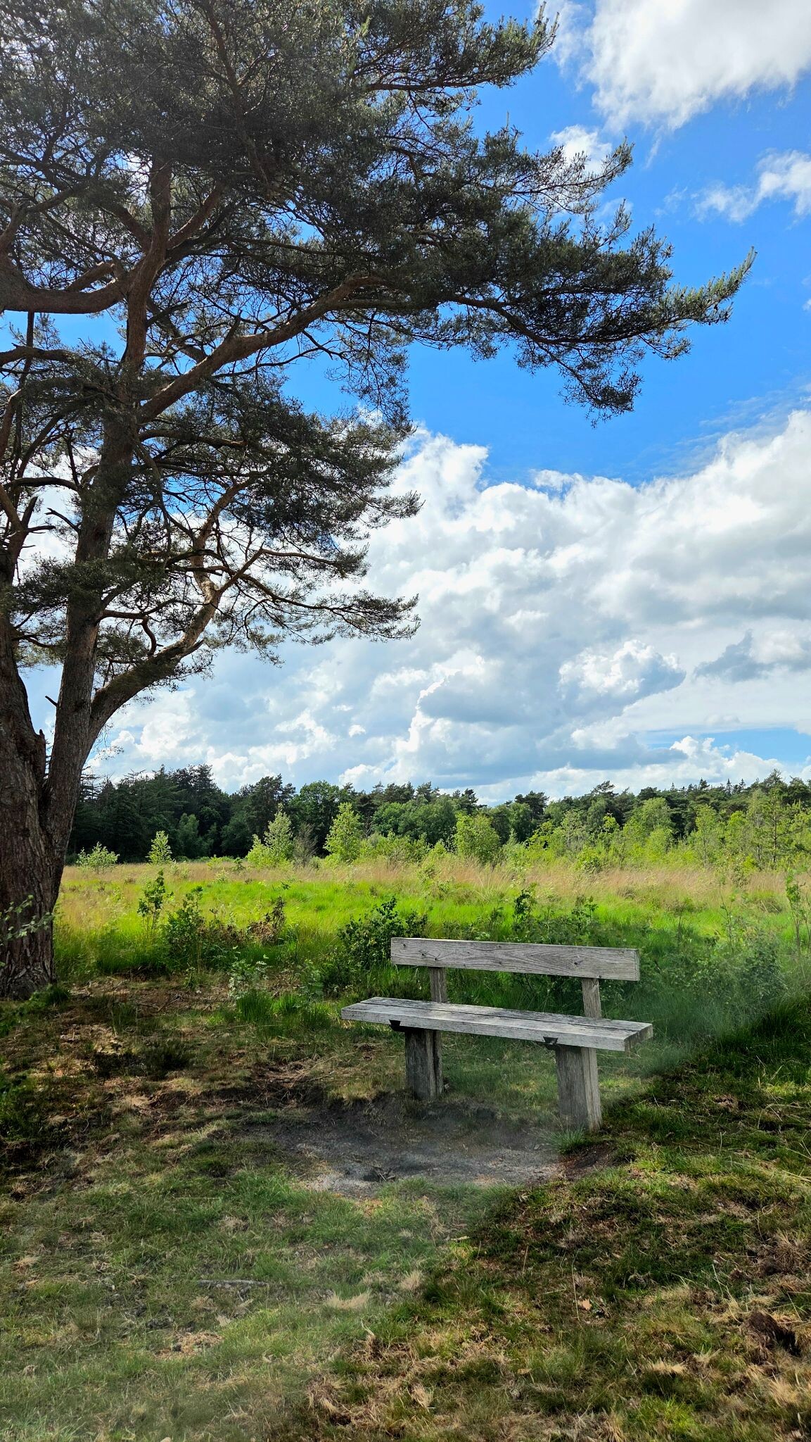 Wandelroute Wijde Blik