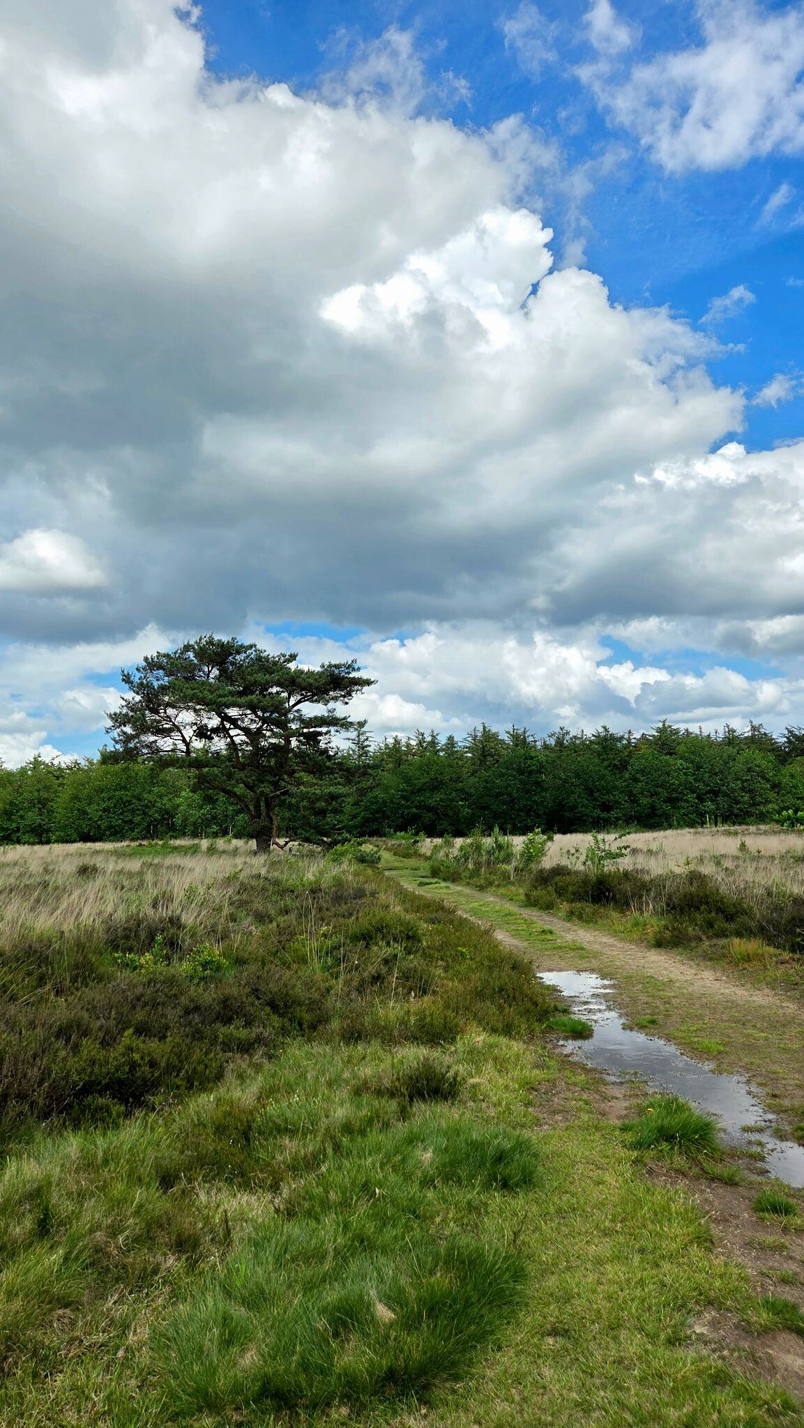 Wandelroute Wijde Blik