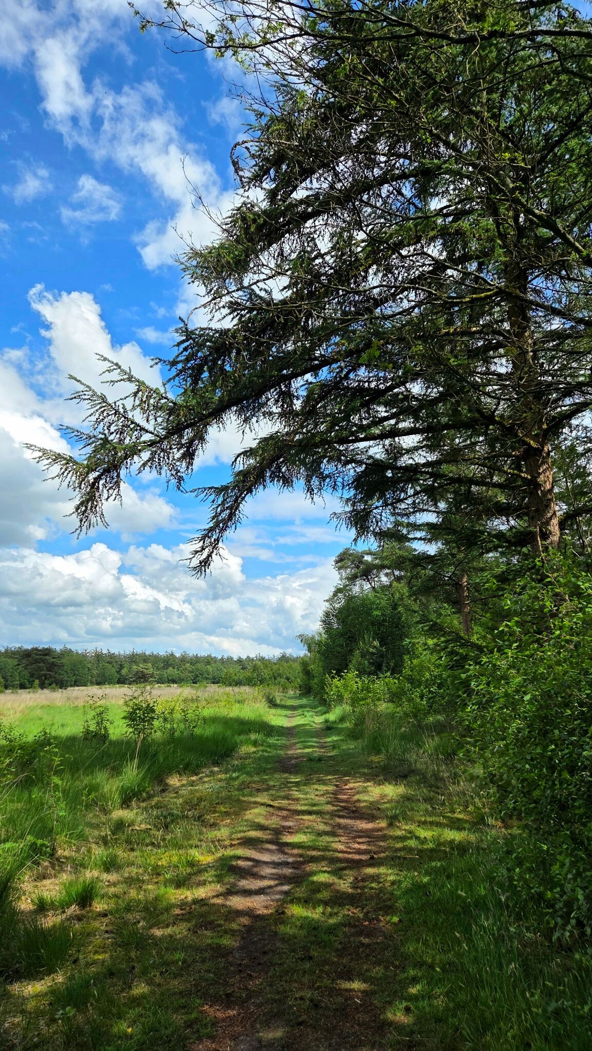 Wandelroute Wijde Blik