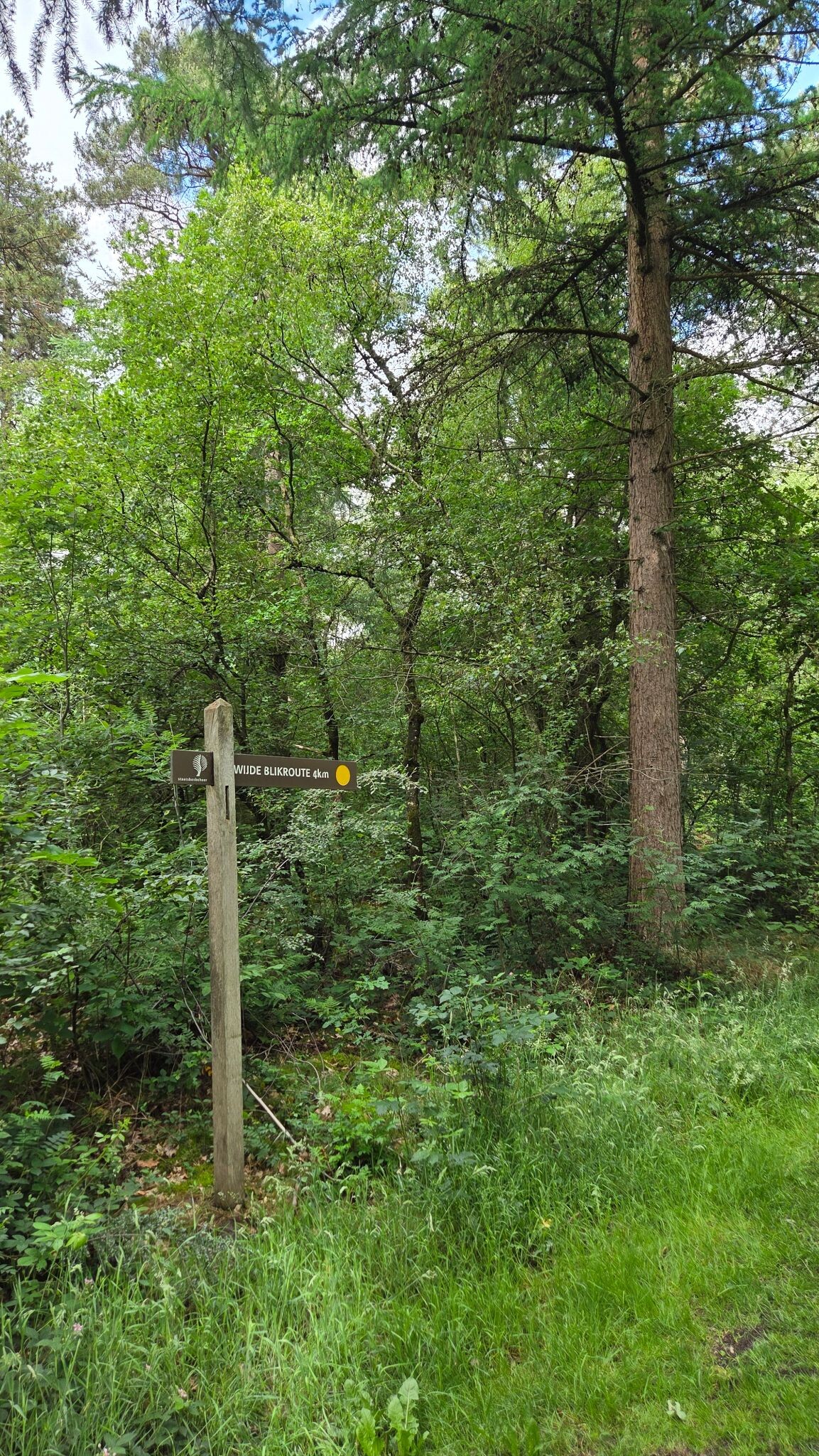Wandelroute Wijde Blik