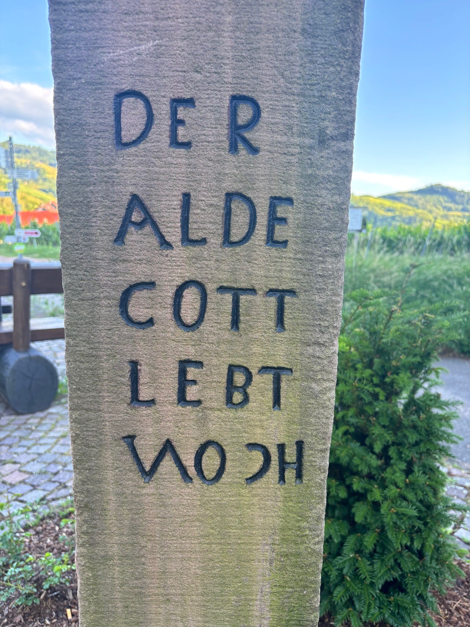 Naturpark Schwarzwald Mitte/Nord