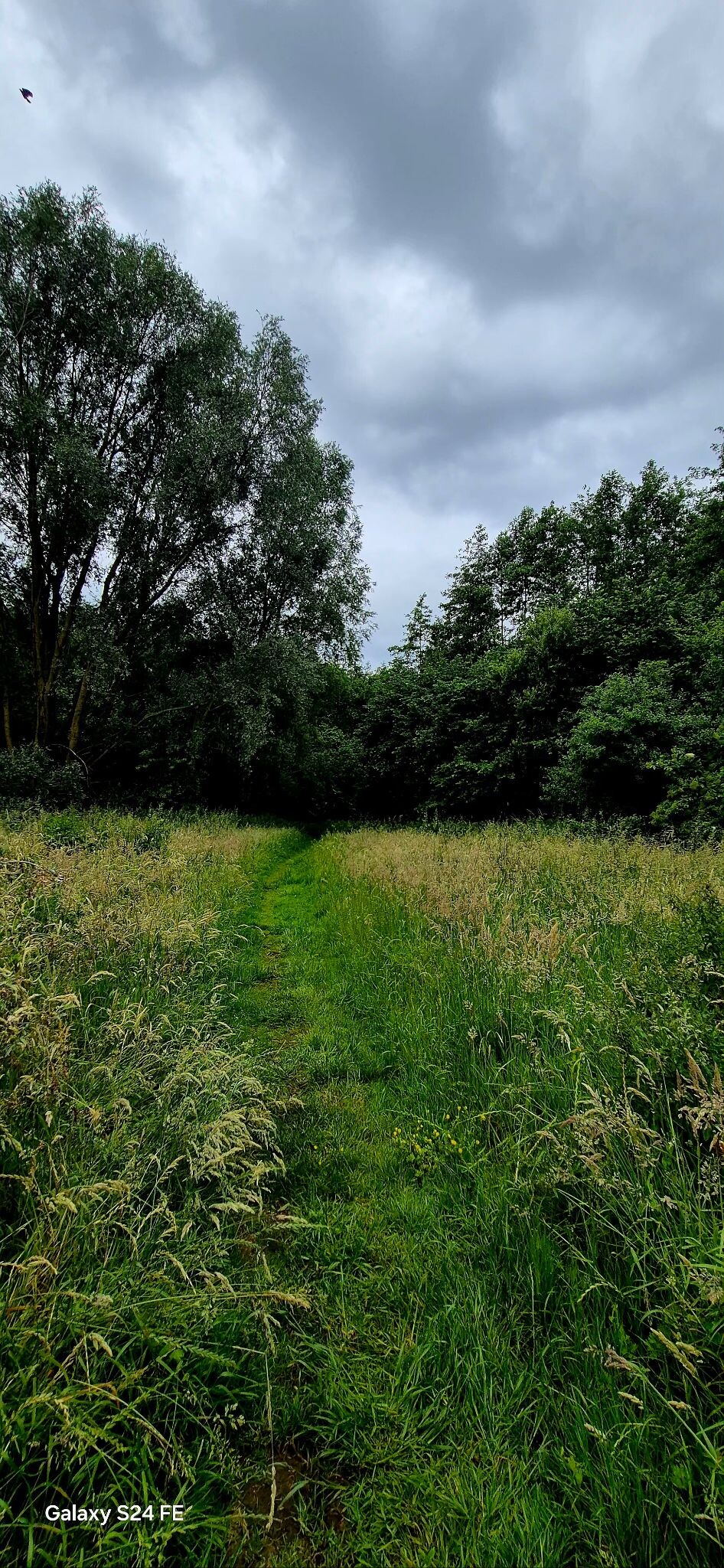 Kleine luswandeling rond Wielsbeke