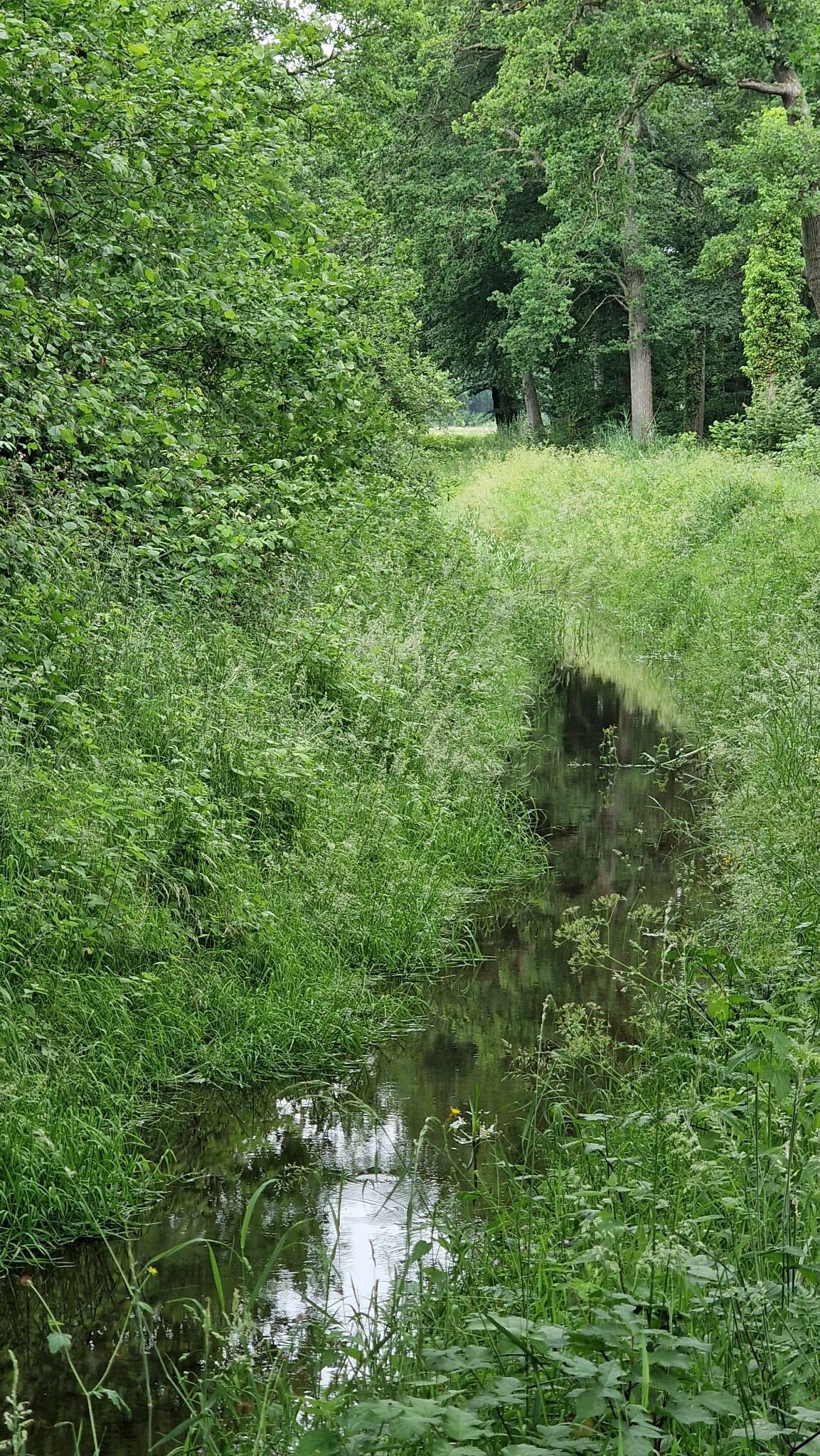 Foto van opname