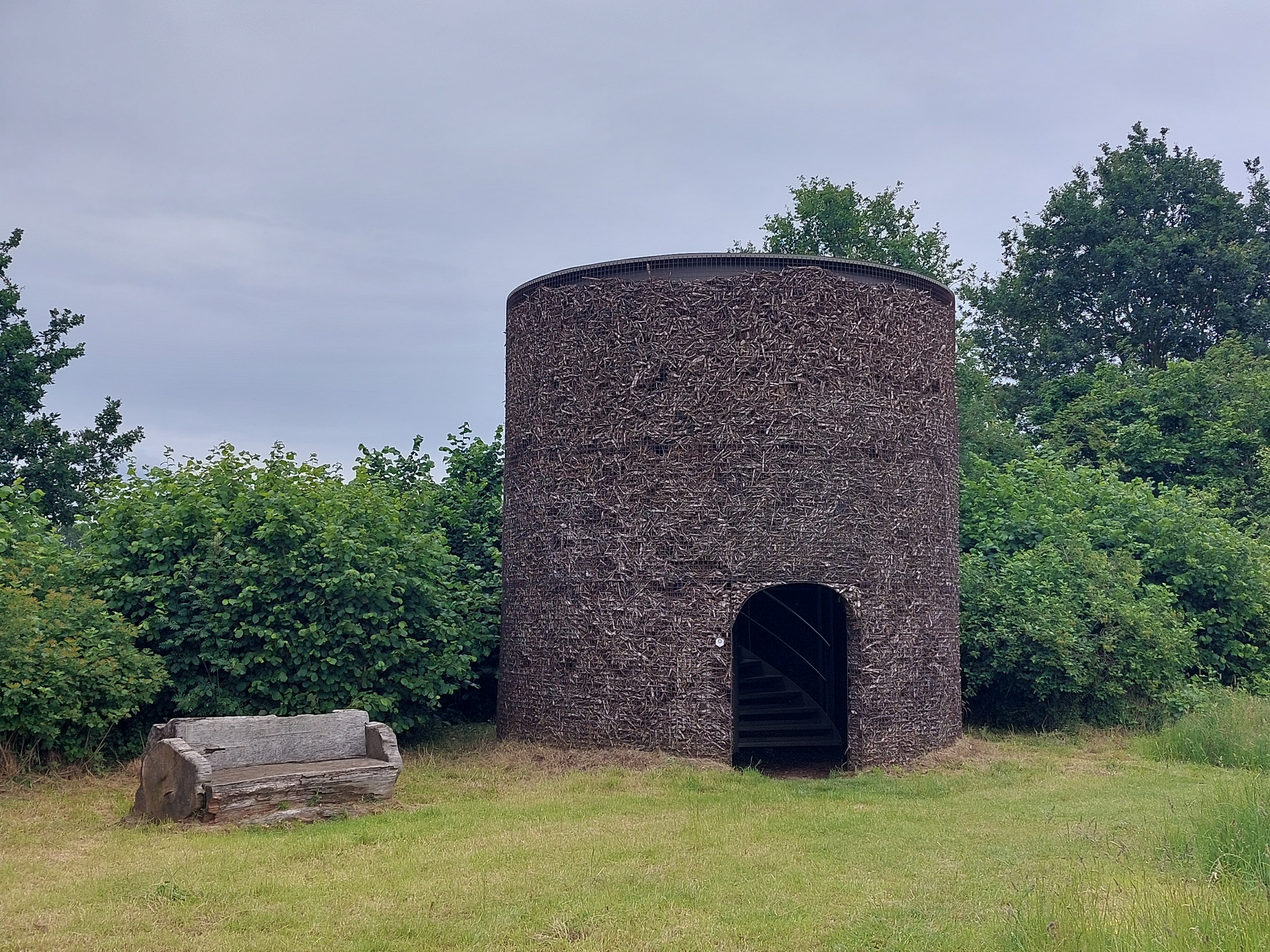 Duizendjarige eik wandeling.