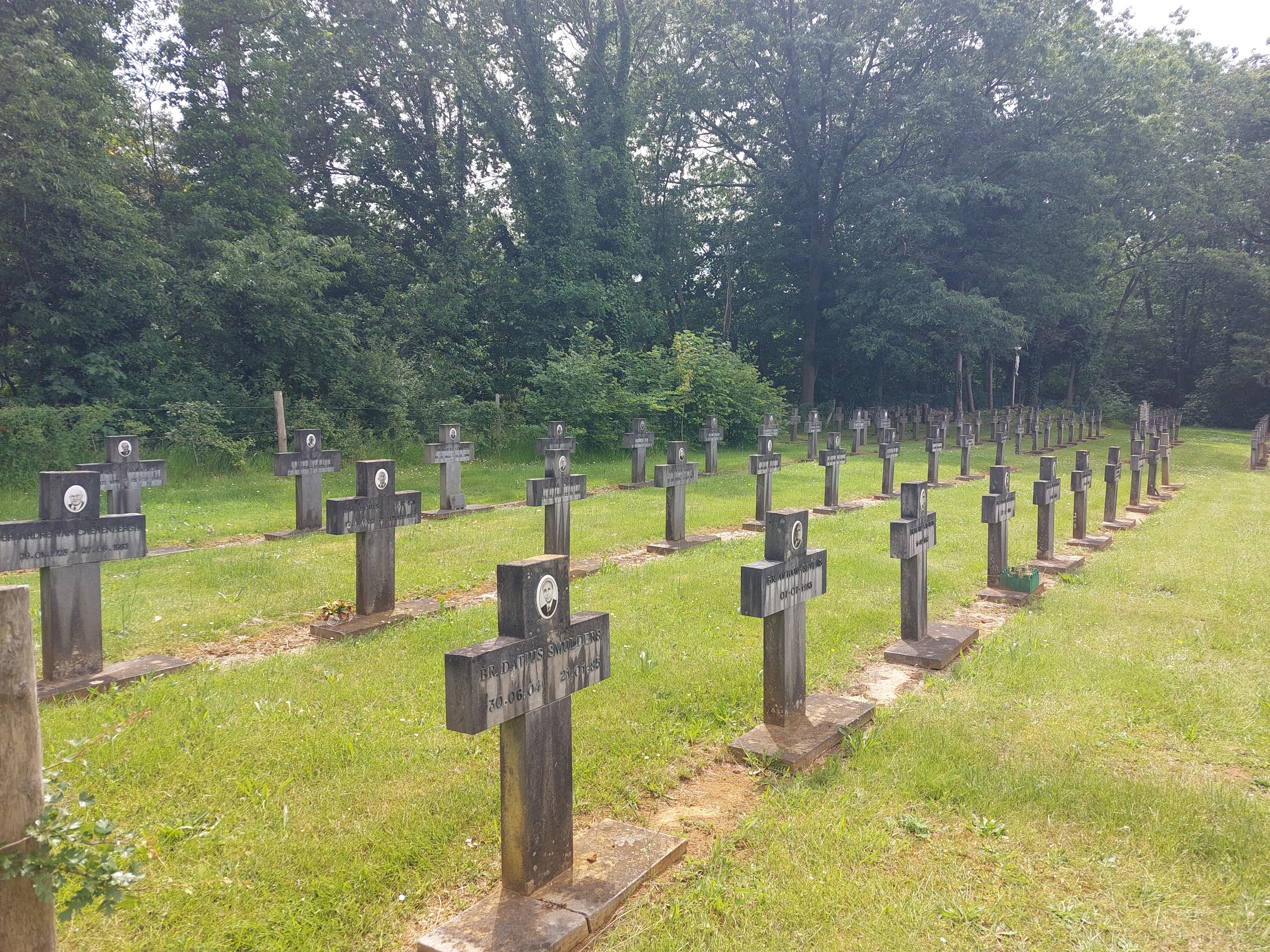 Duizendjarige eik wandeling.