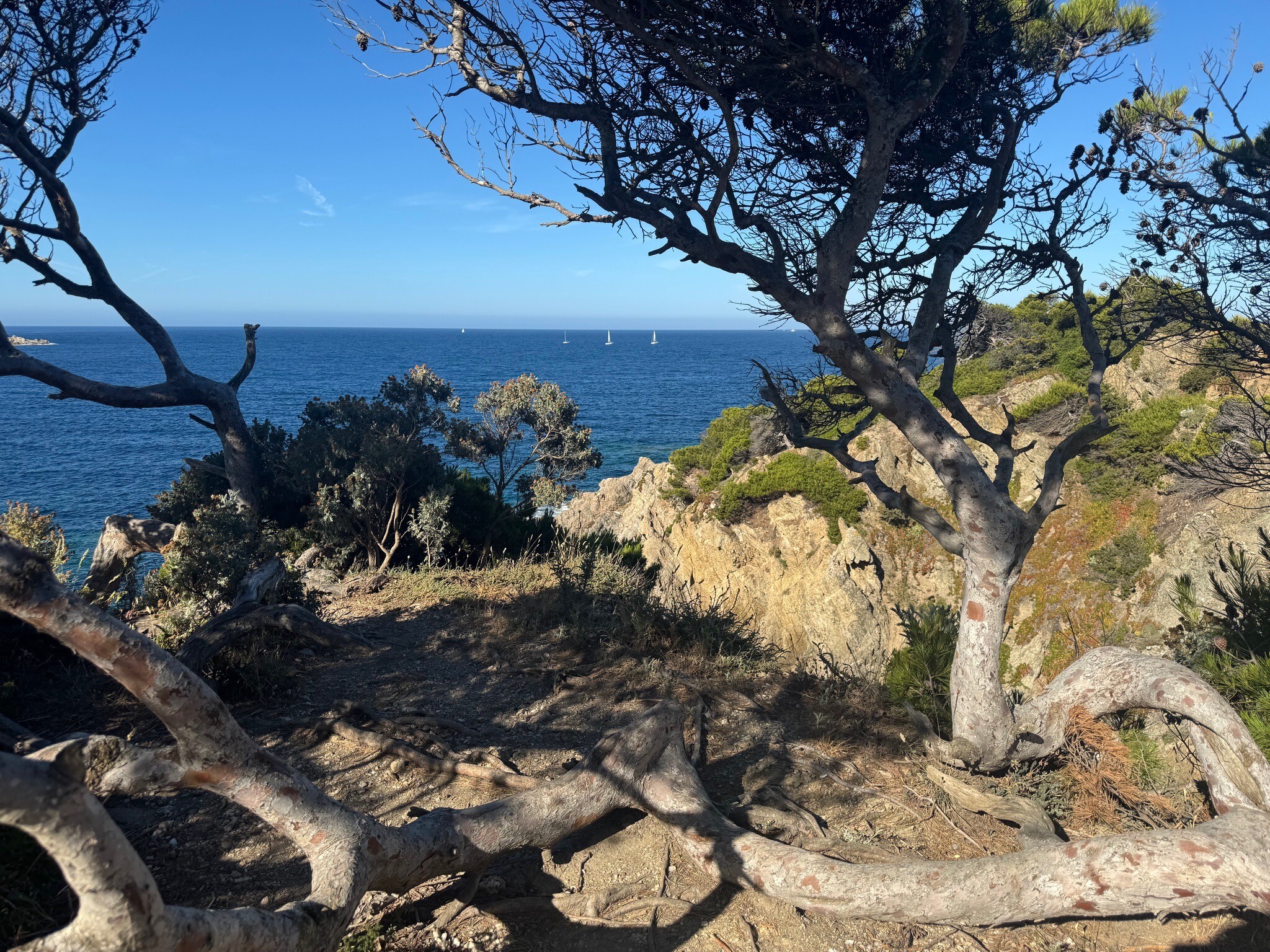 Parc national de Port-Cros (aire d'adhésion)
