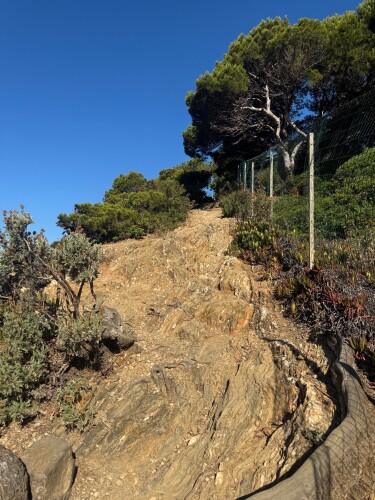 Rondje Oostelijkdeel van Hyeres