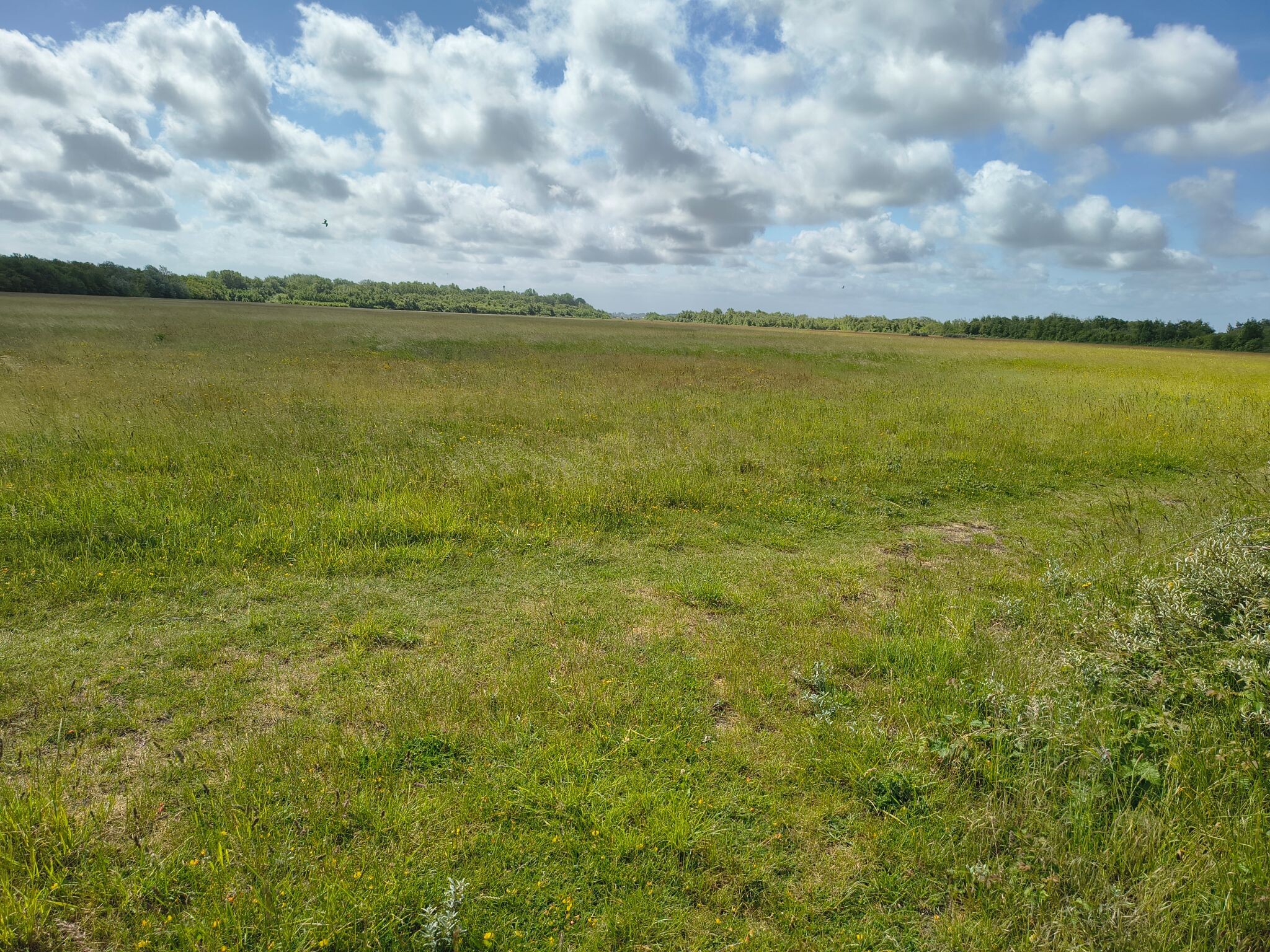 Wandelroute Schotsman groen