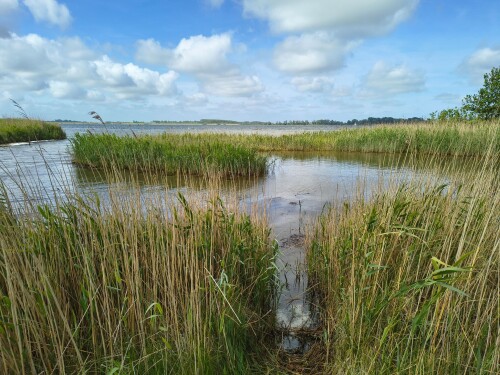 Wandelroute Schotsman groen