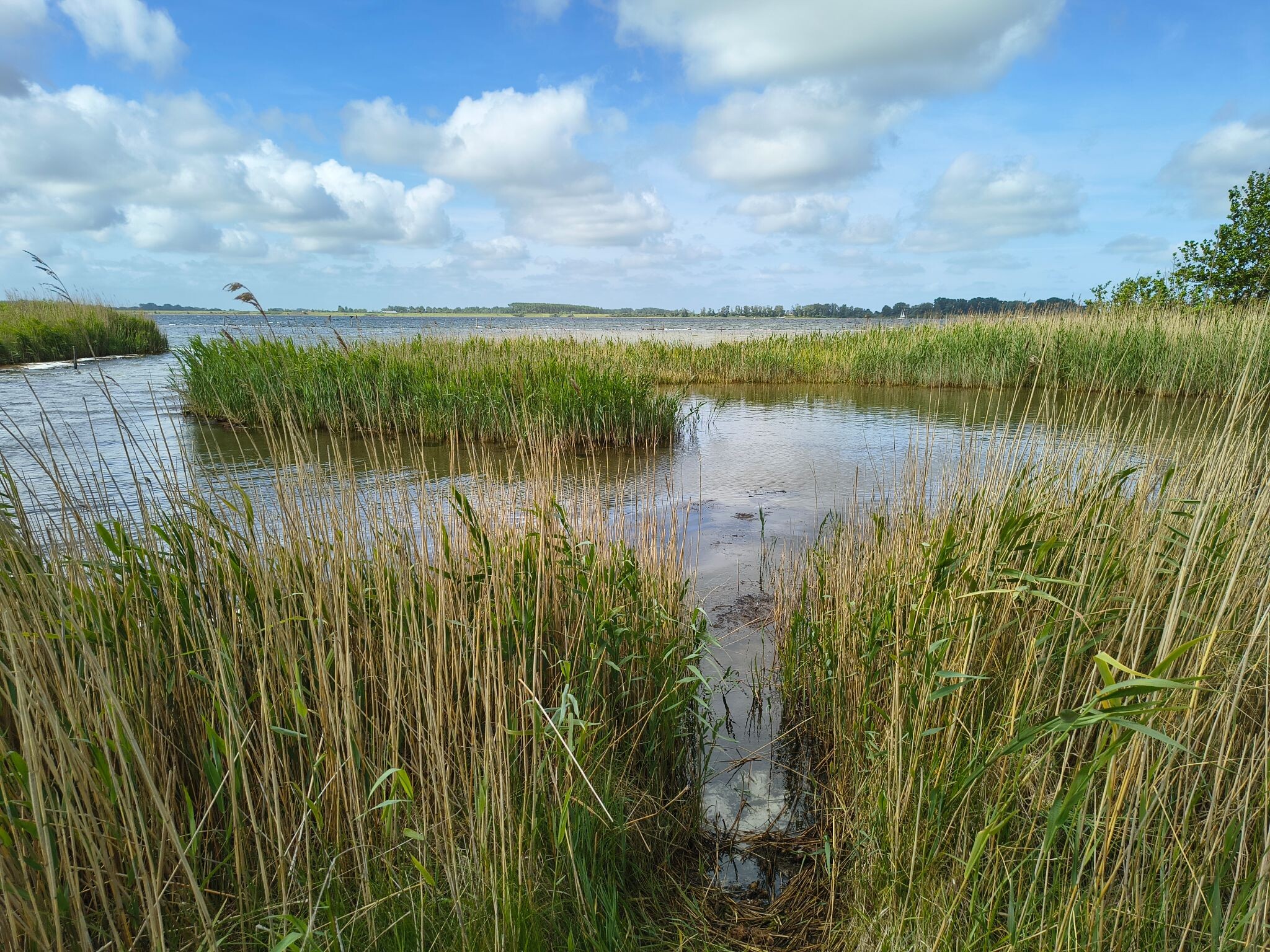 Wandelroute Schotsman groen
