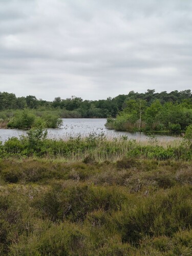 Wandelroute Belversven, bij Oisterwijk