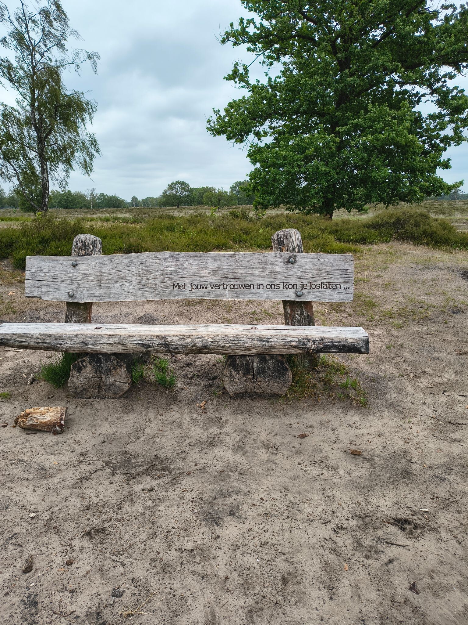 Wandelroute Belversven, bij Oisterwijk