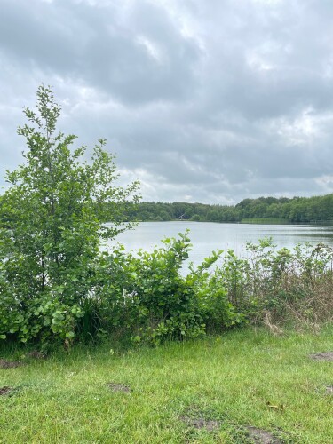 Wandelroute Wyldemerk – Oudemirdumer klif – Laaksum