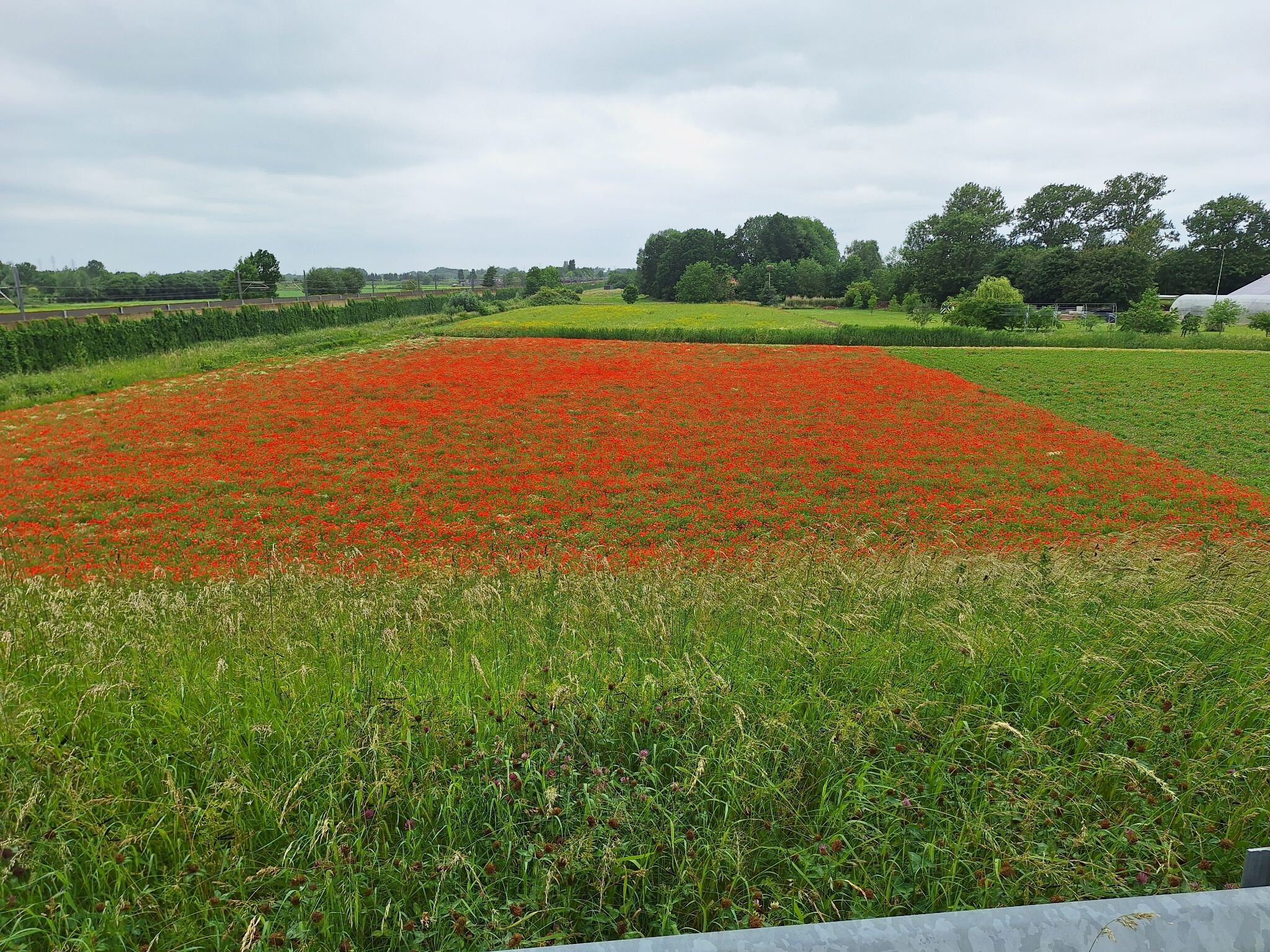 Gelderse Poort