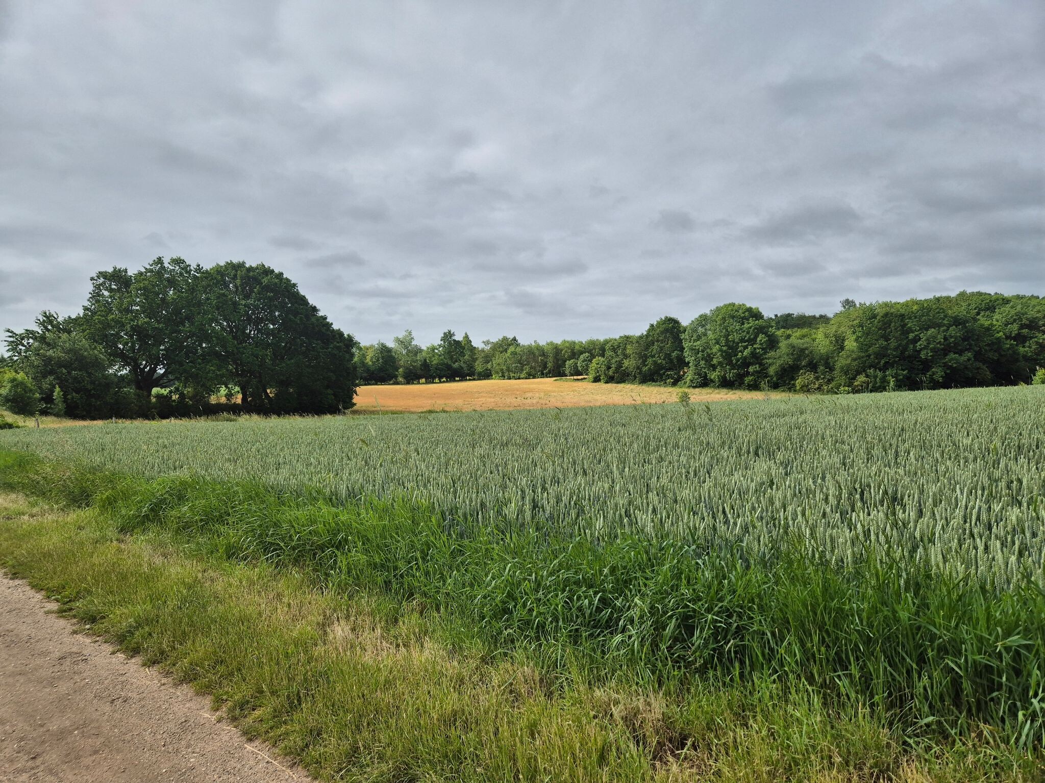 Sittard - Strabeek · Pieterpad etappe 25