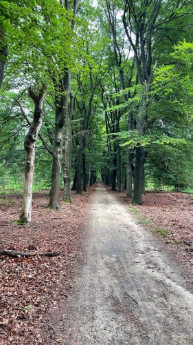 Beekbergen - Apeldoorn · Maarten van Rossumpad etappe 13