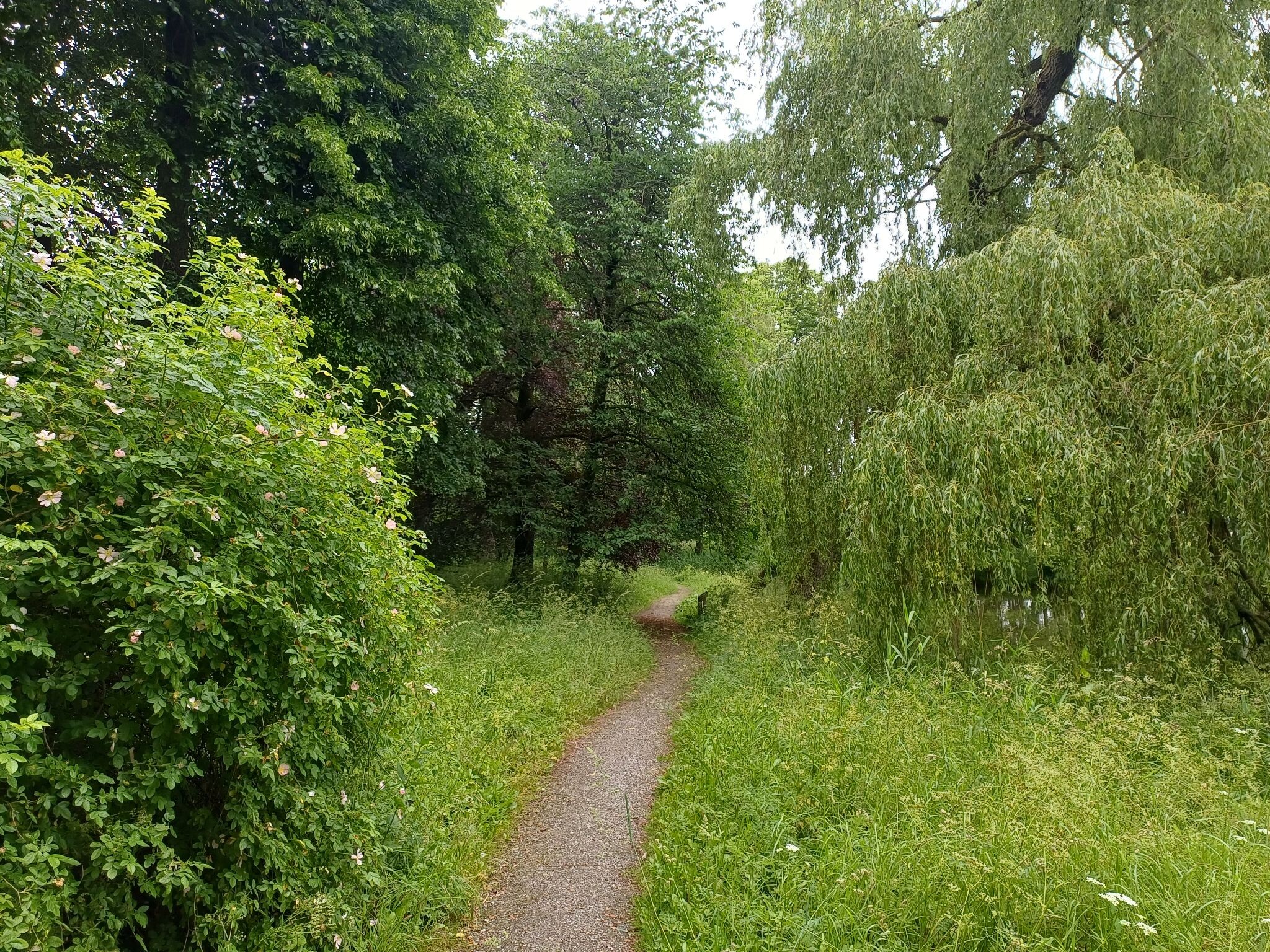 Foto van opname