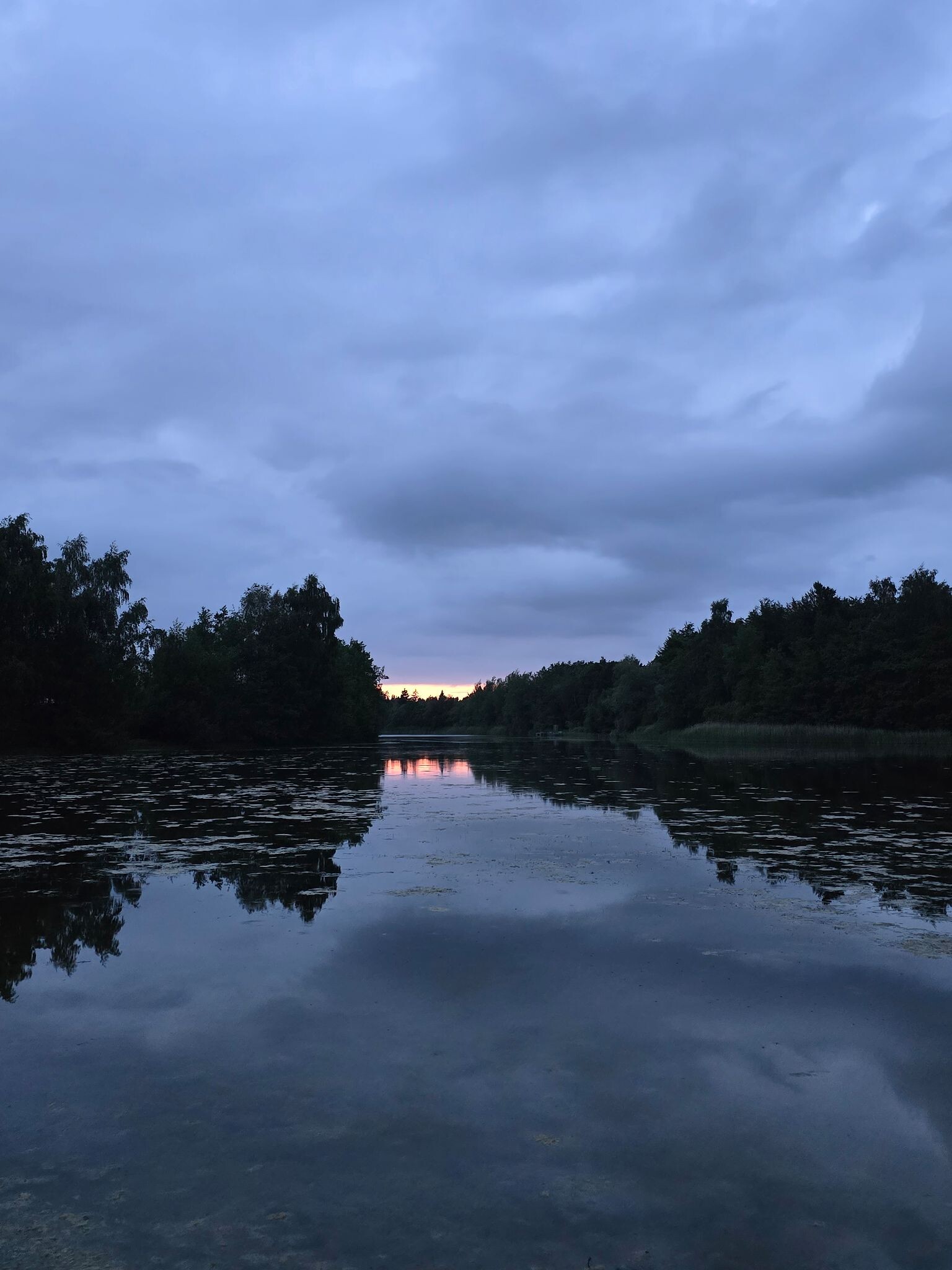 Avond wandeling wildspotten Kuinderbos