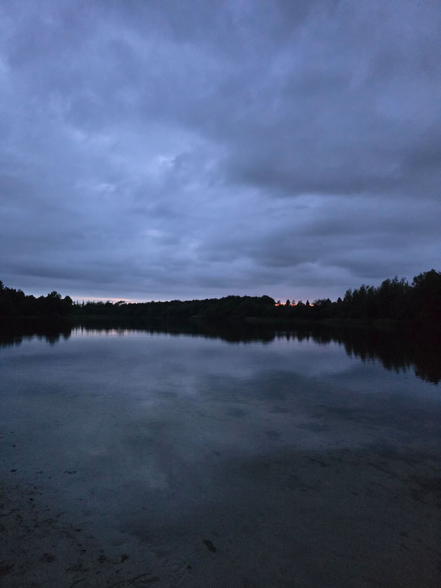 Avond wandeling wildspotten Kuinderbos
