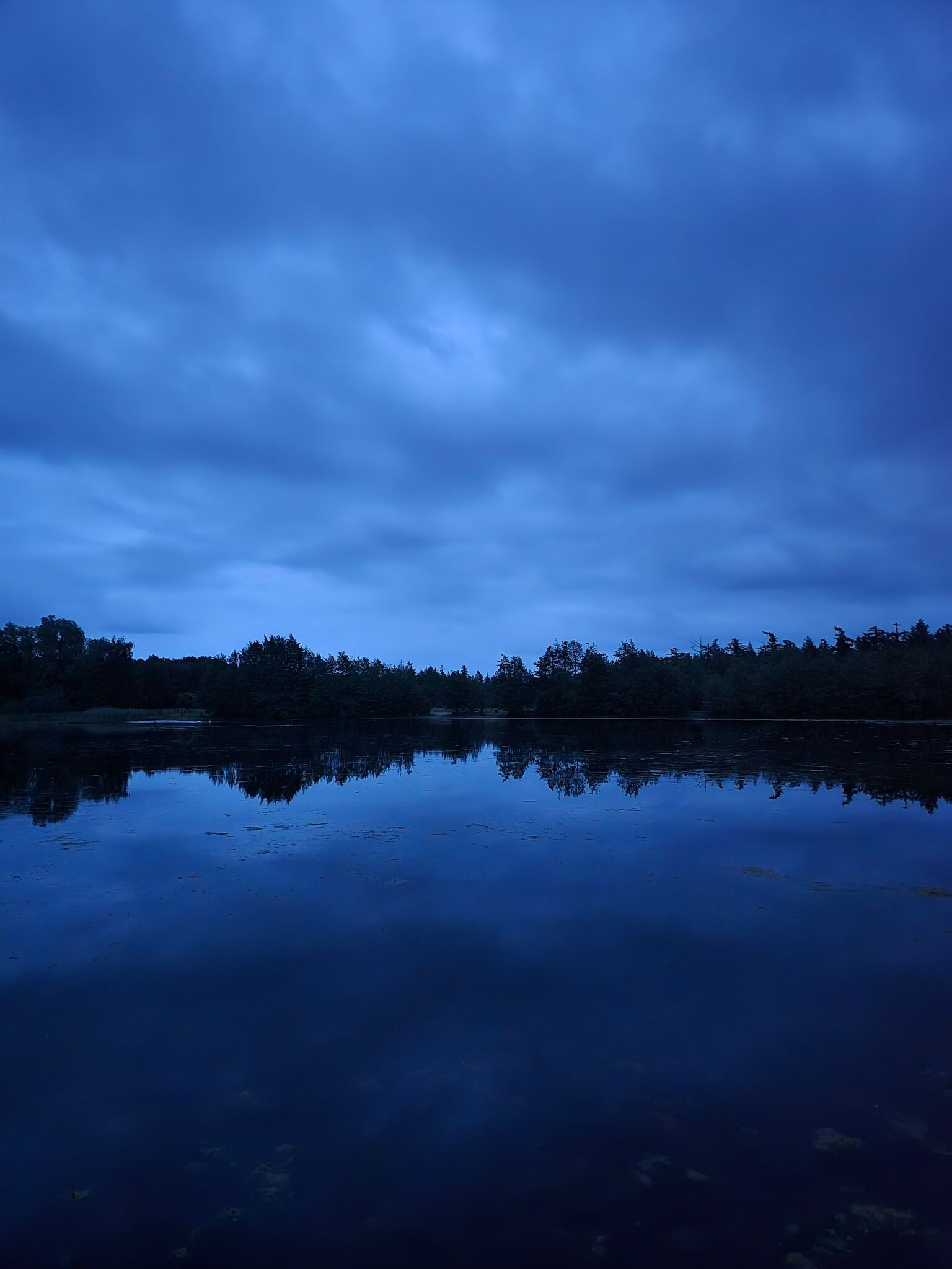 Avond wandeling wildspotten Kuinderbos