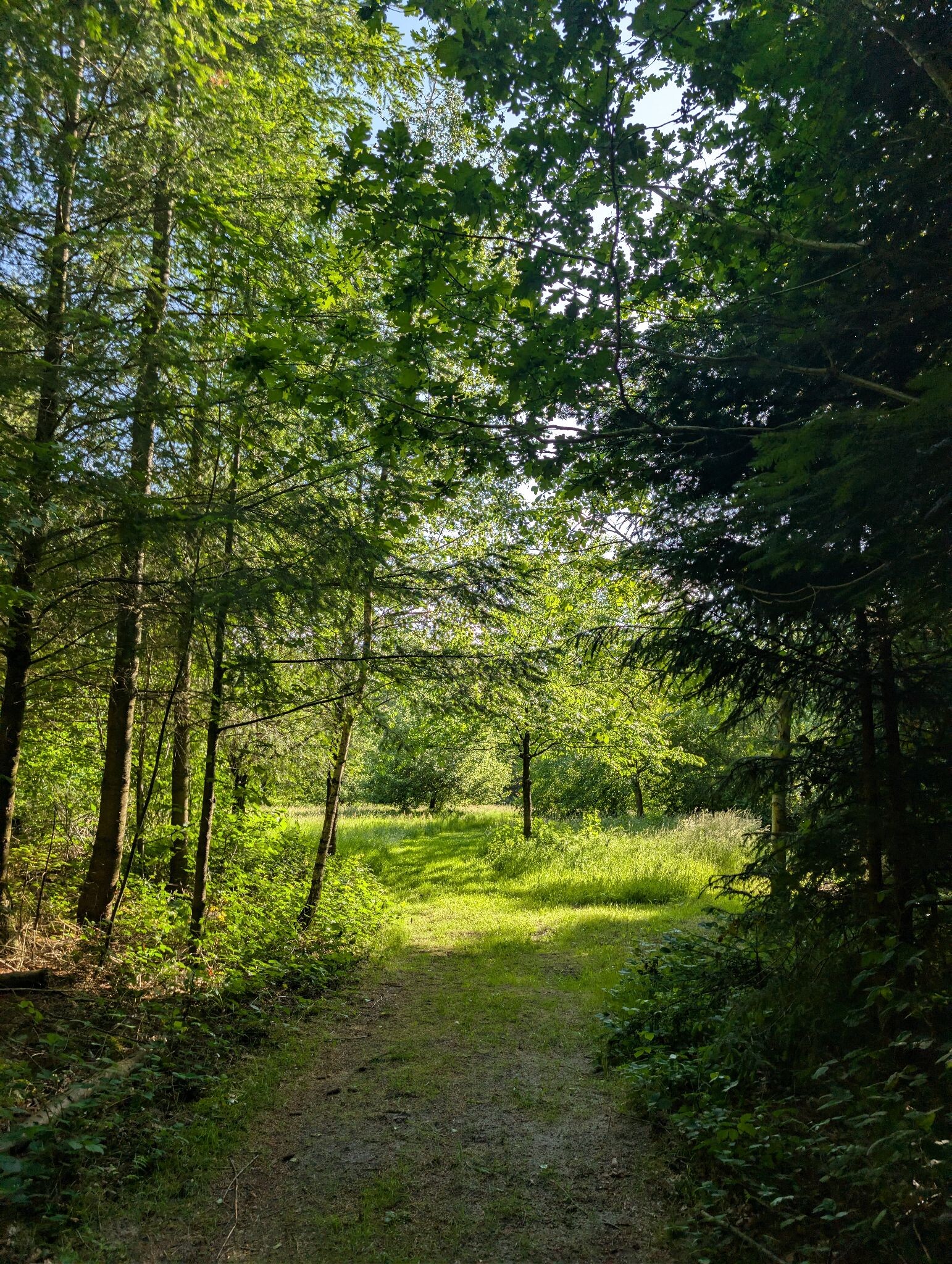 Noordoostpolder Wandelen