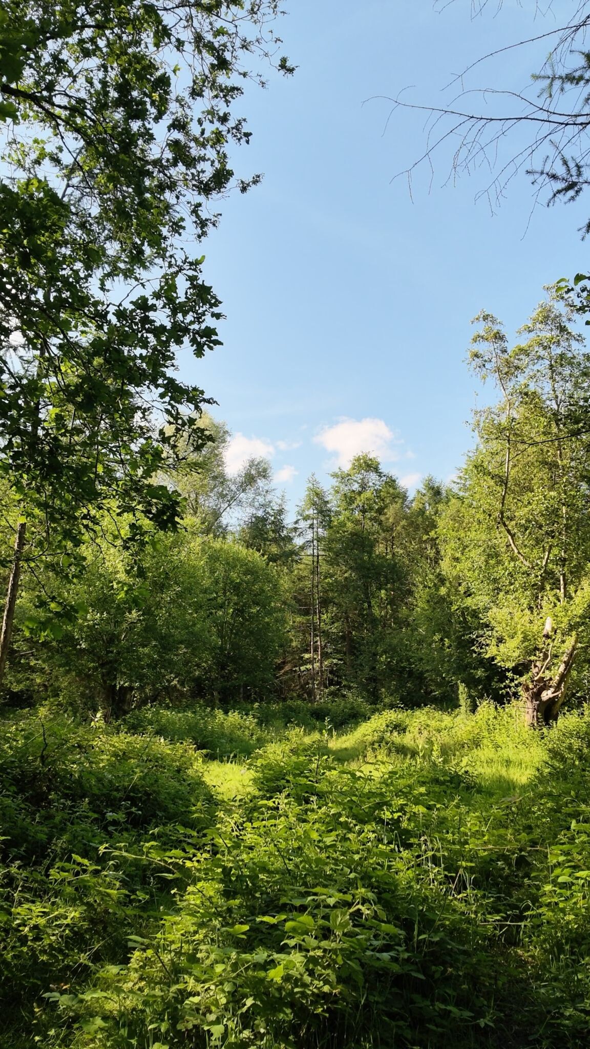 Noordoostpolder Wandelen